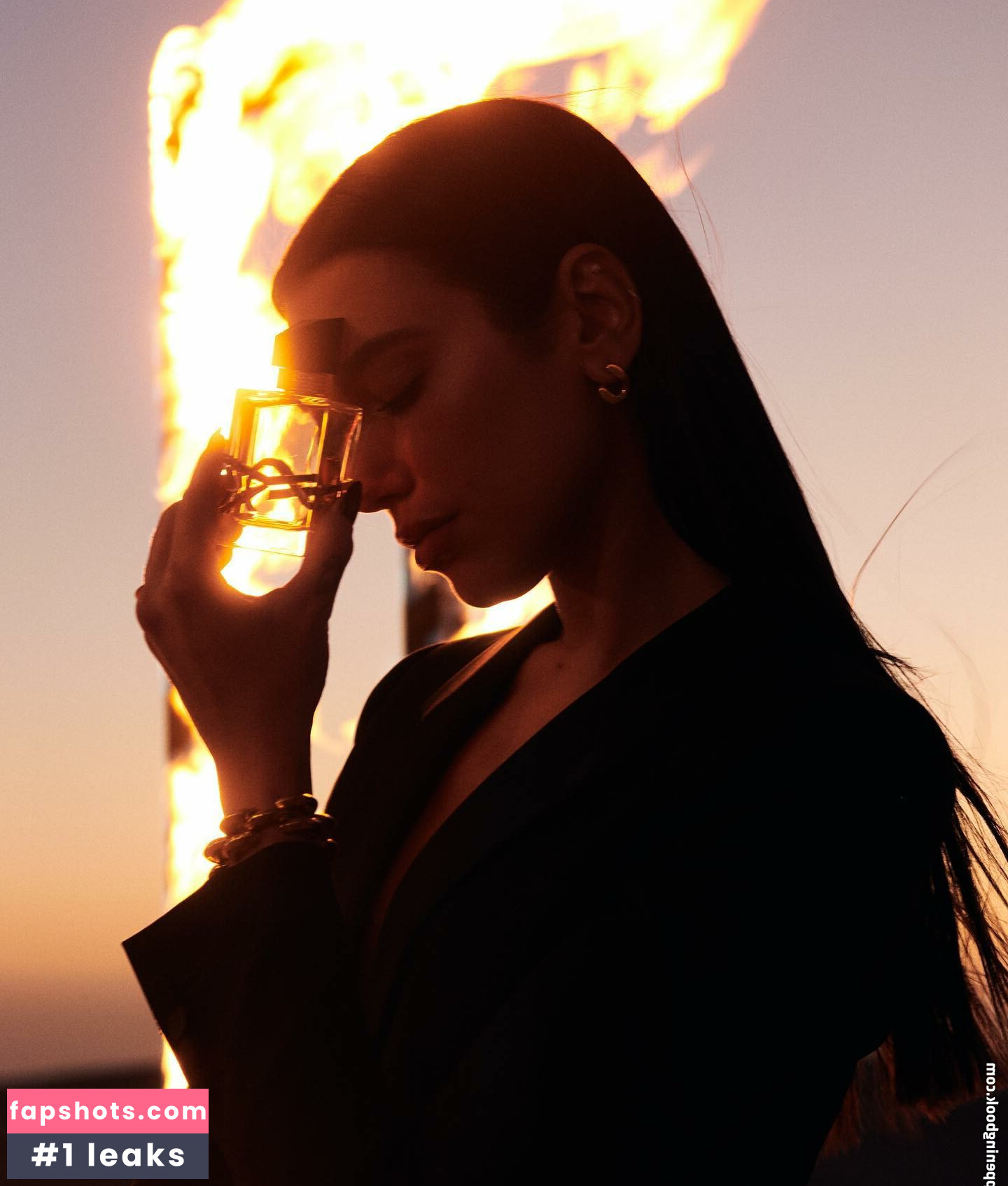 Dua Lipa gallery photo #3262