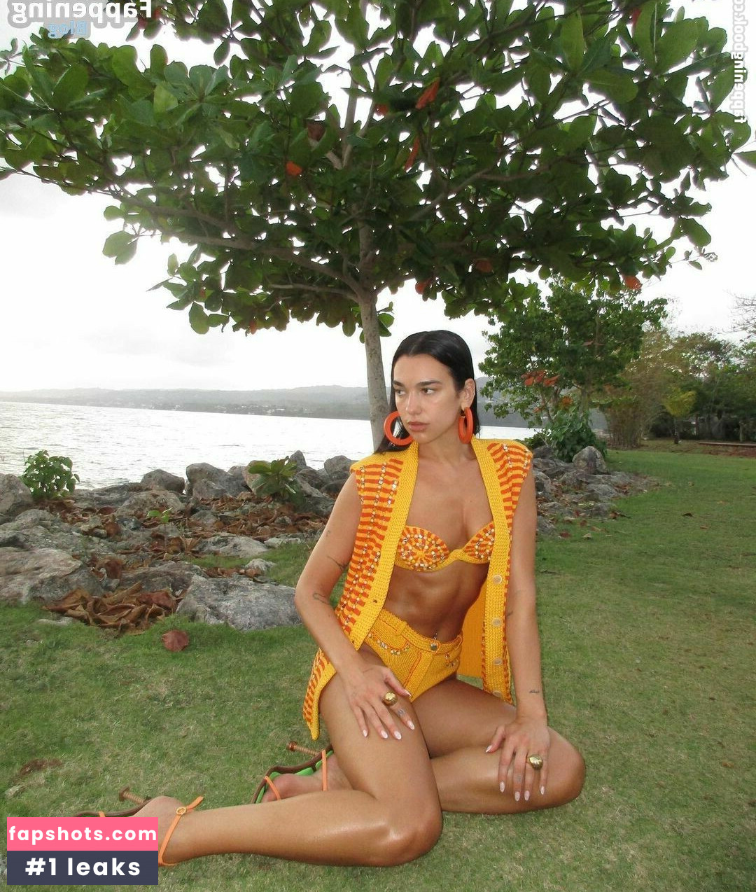 Dua Lipa gallery photo #3319