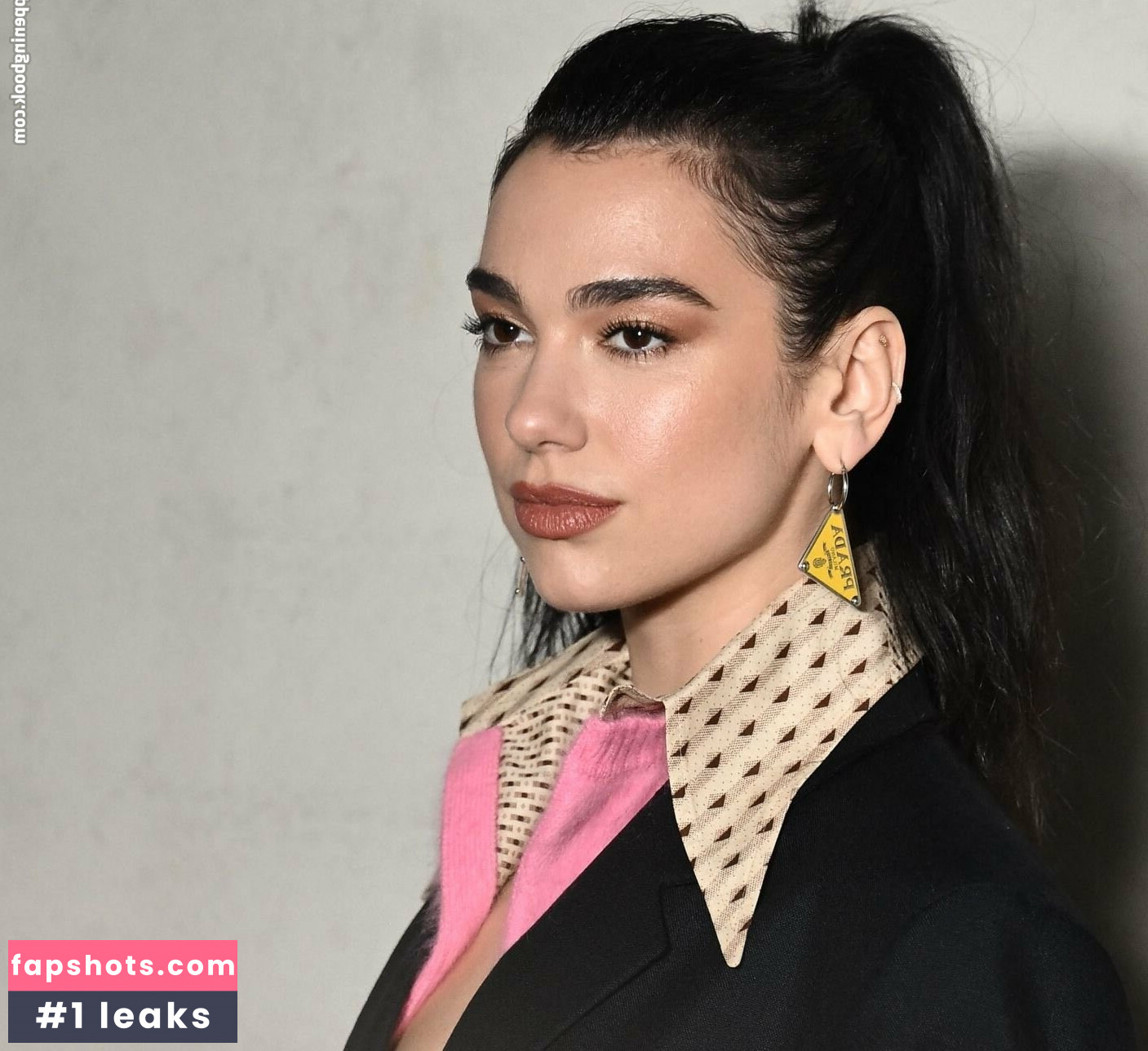 Dua Lipa gallery photo #3355