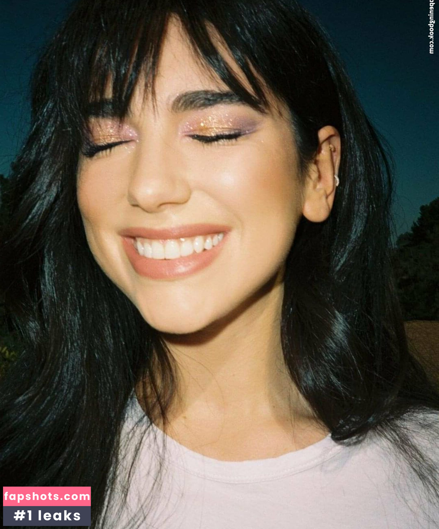 Dua Lipa gallery photo #3545