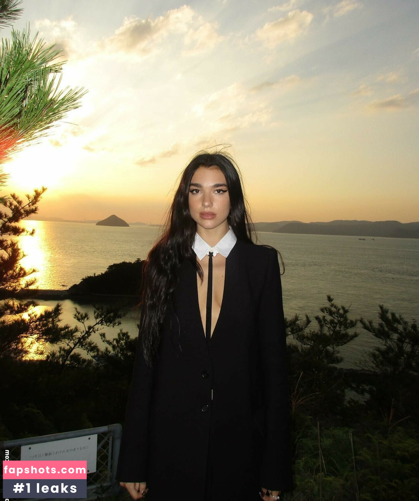Dua Lipa gallery photo #4047