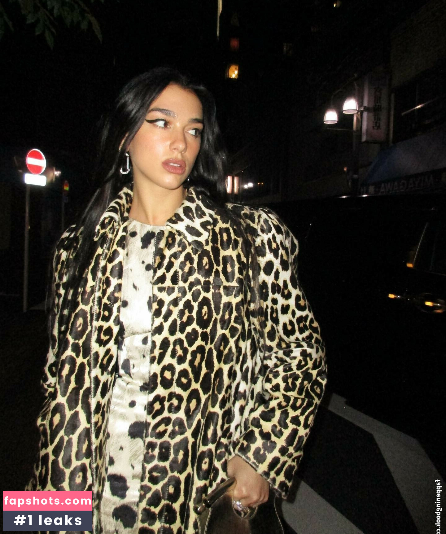 Dua Lipa gallery photo #4052