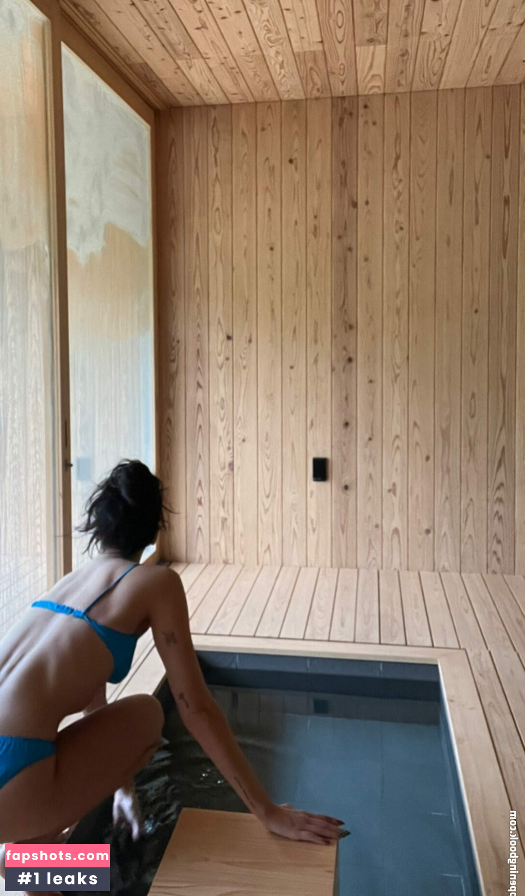 Dua Lipa gallery photo #4136