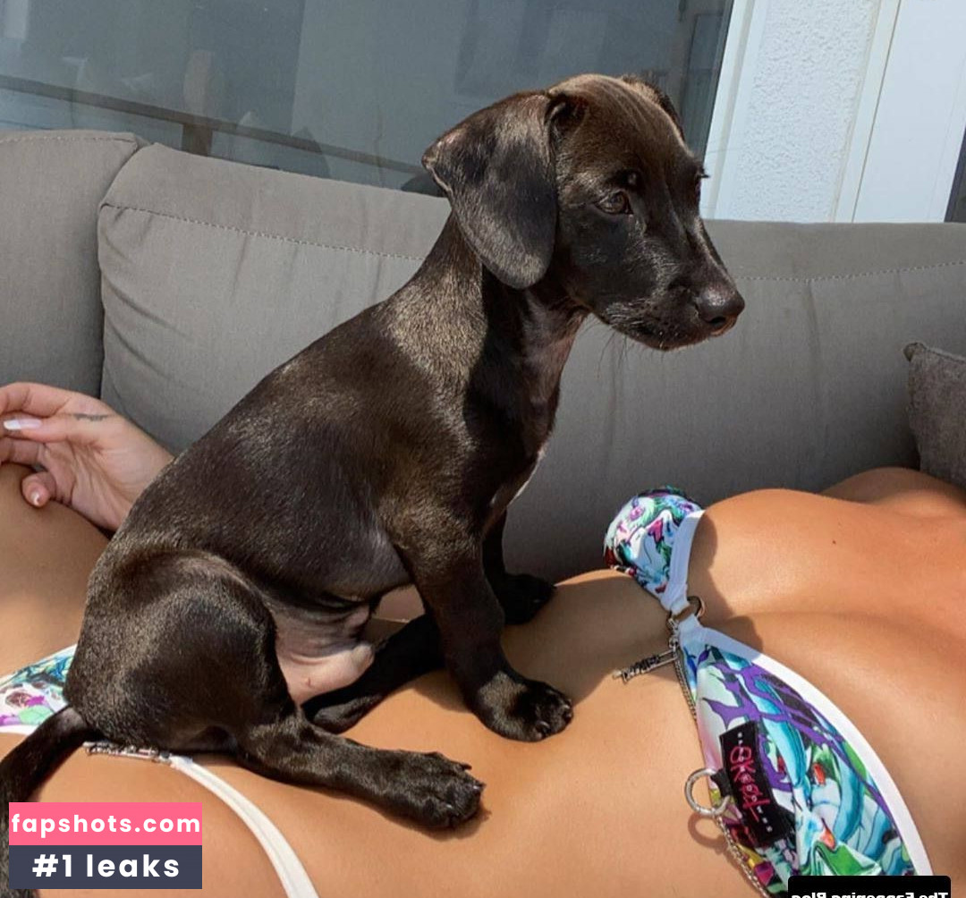 Dua Lipa gallery photo #4157