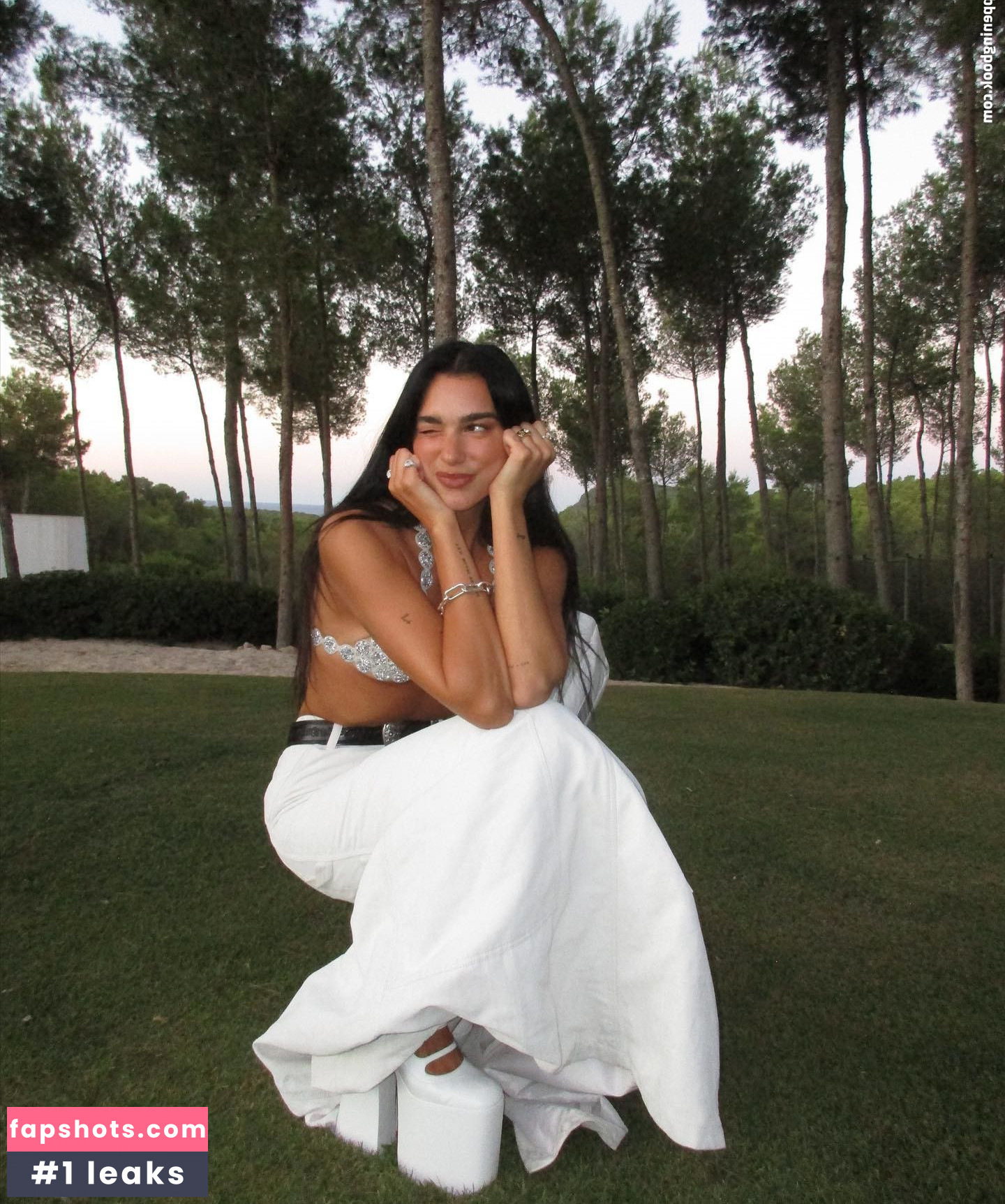 Dua Lipa gallery photo #4279