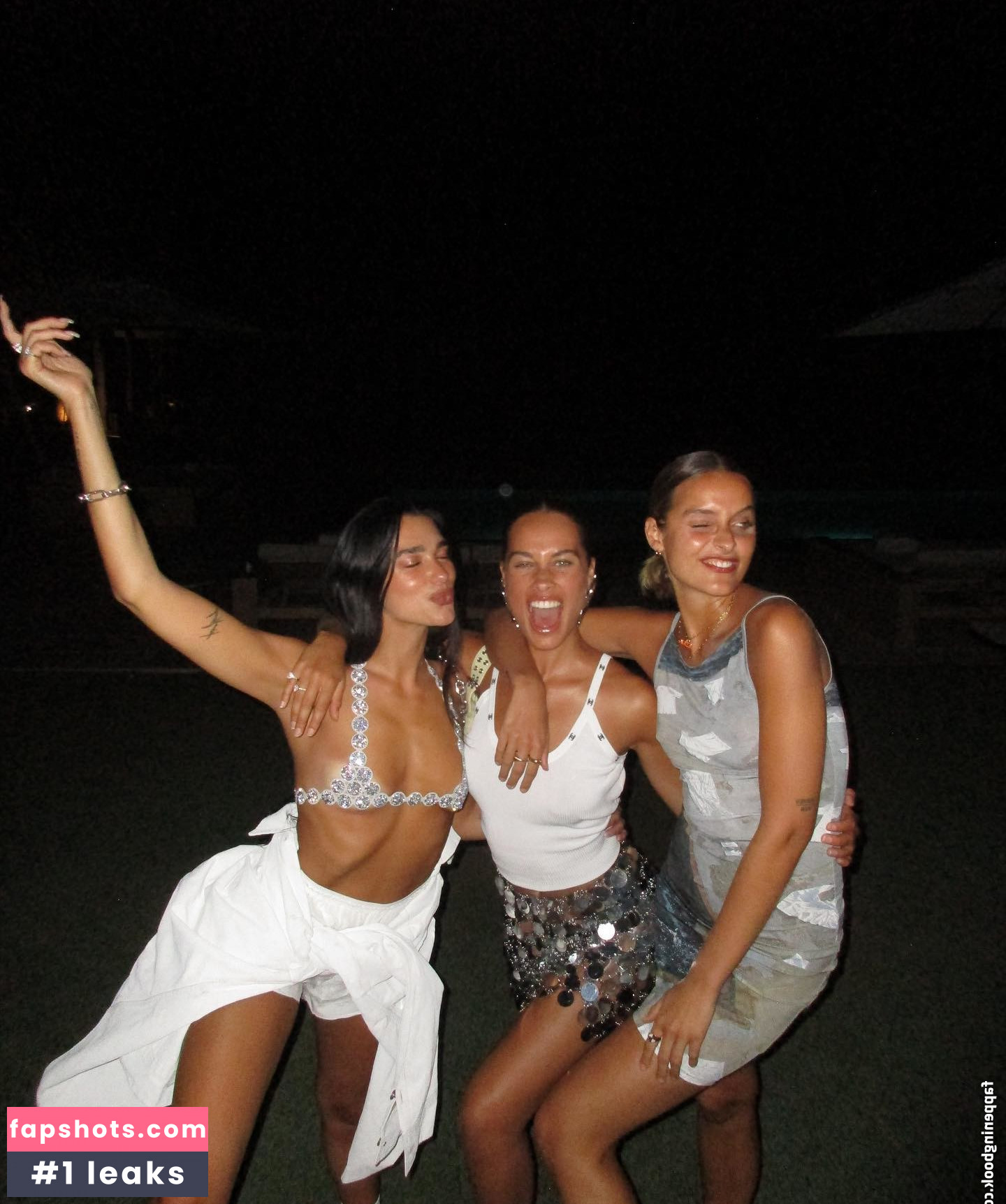 Dua Lipa gallery photo #4280