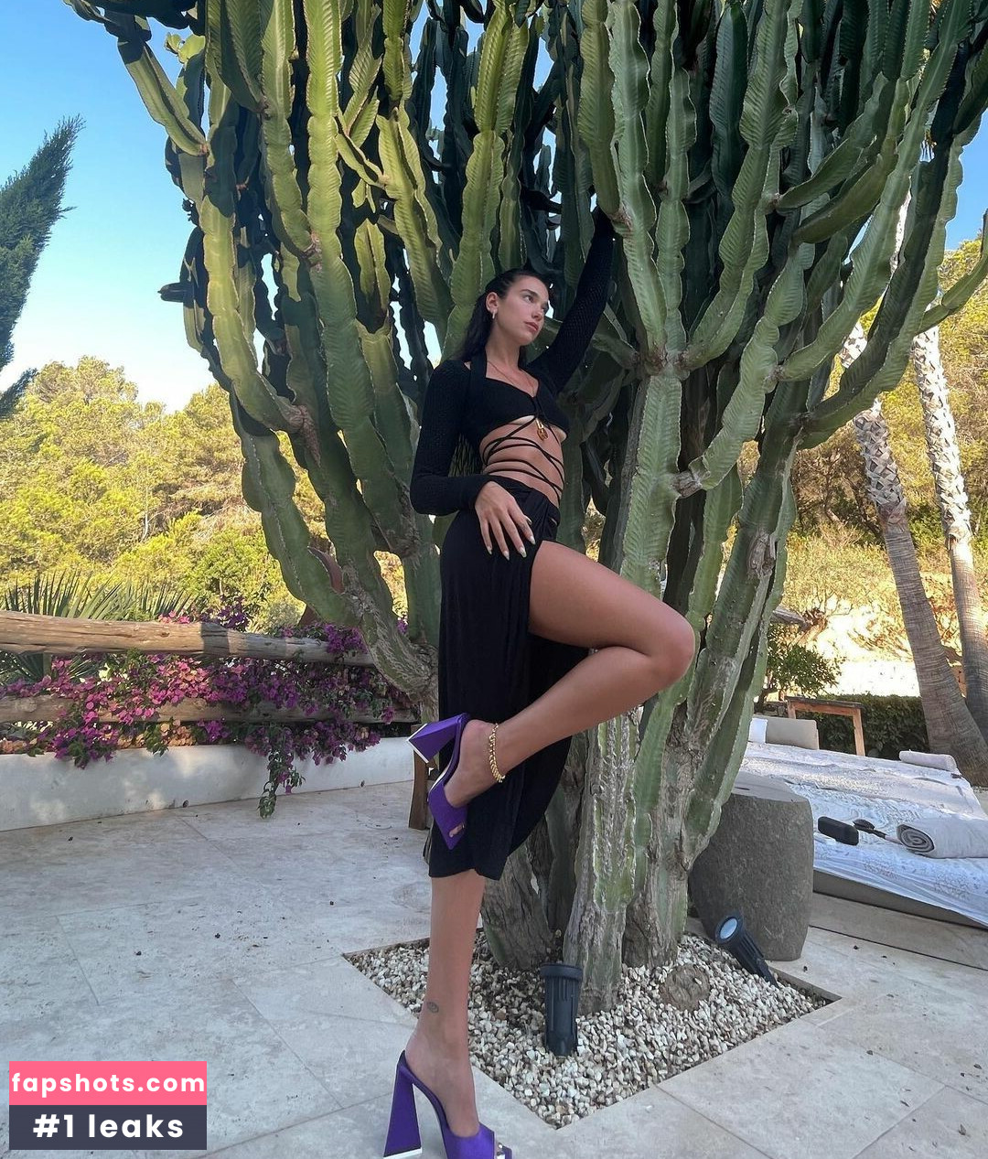 Dua Lipa gallery photo #4534