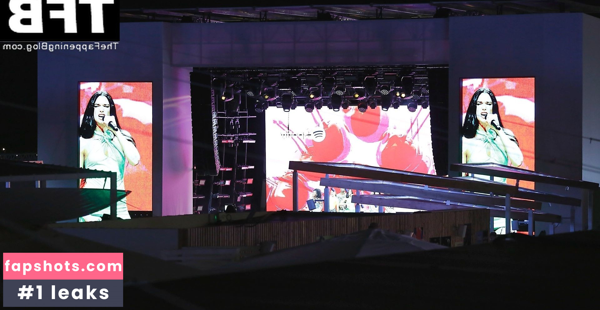 Dua Lipa gallery photo #4618