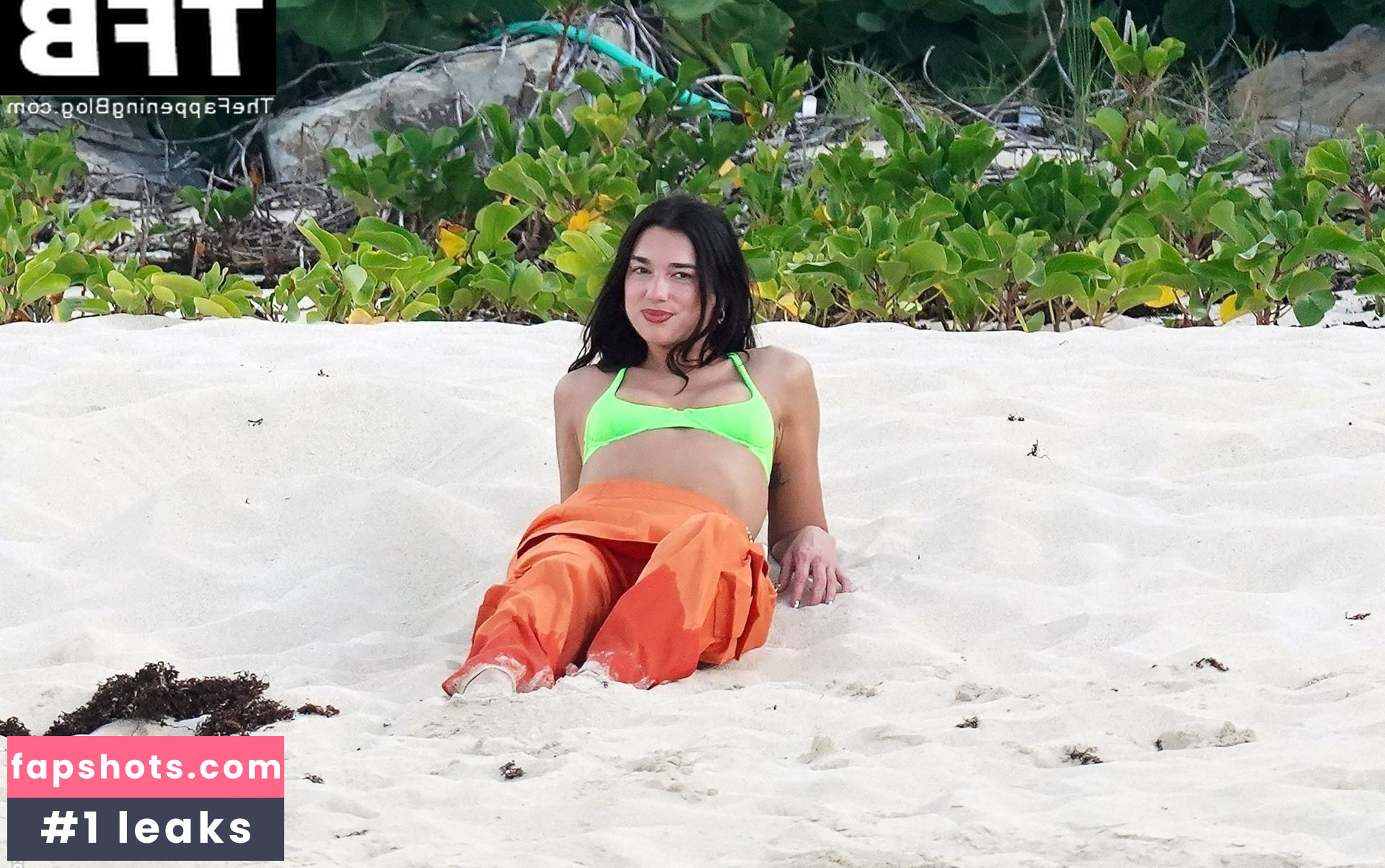 Dua Lipa gallery photo #5263