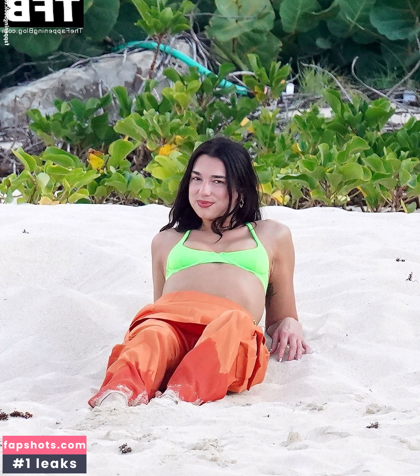 Dua Lipa gallery photo #5264