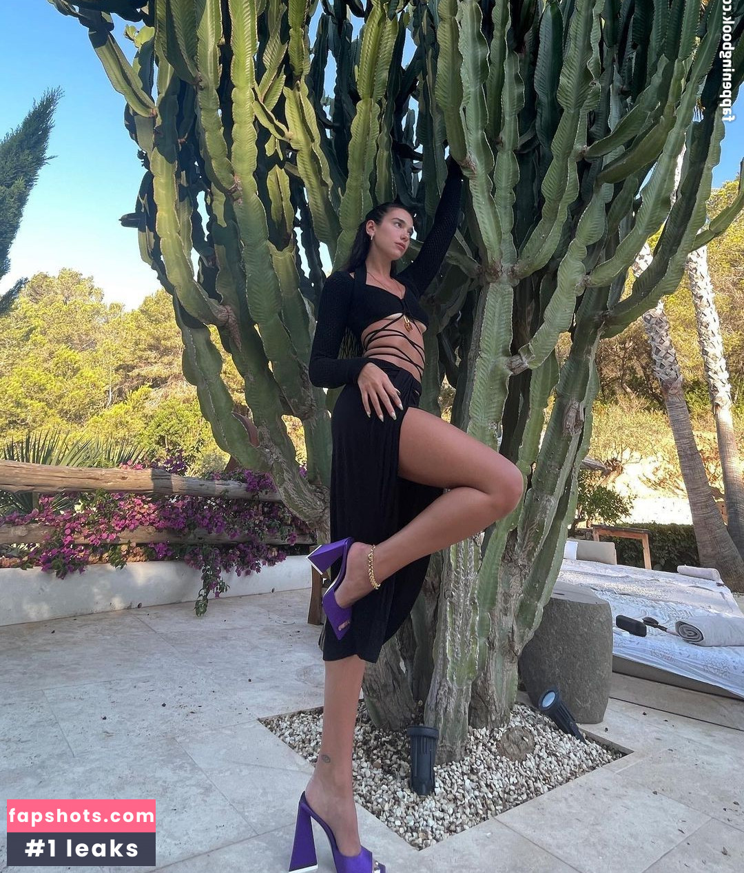 Dua Lipa gallery photo #6015