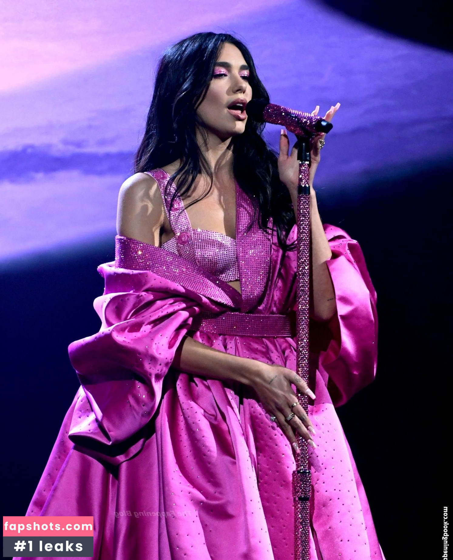 Dua Lipa gallery photo #6492