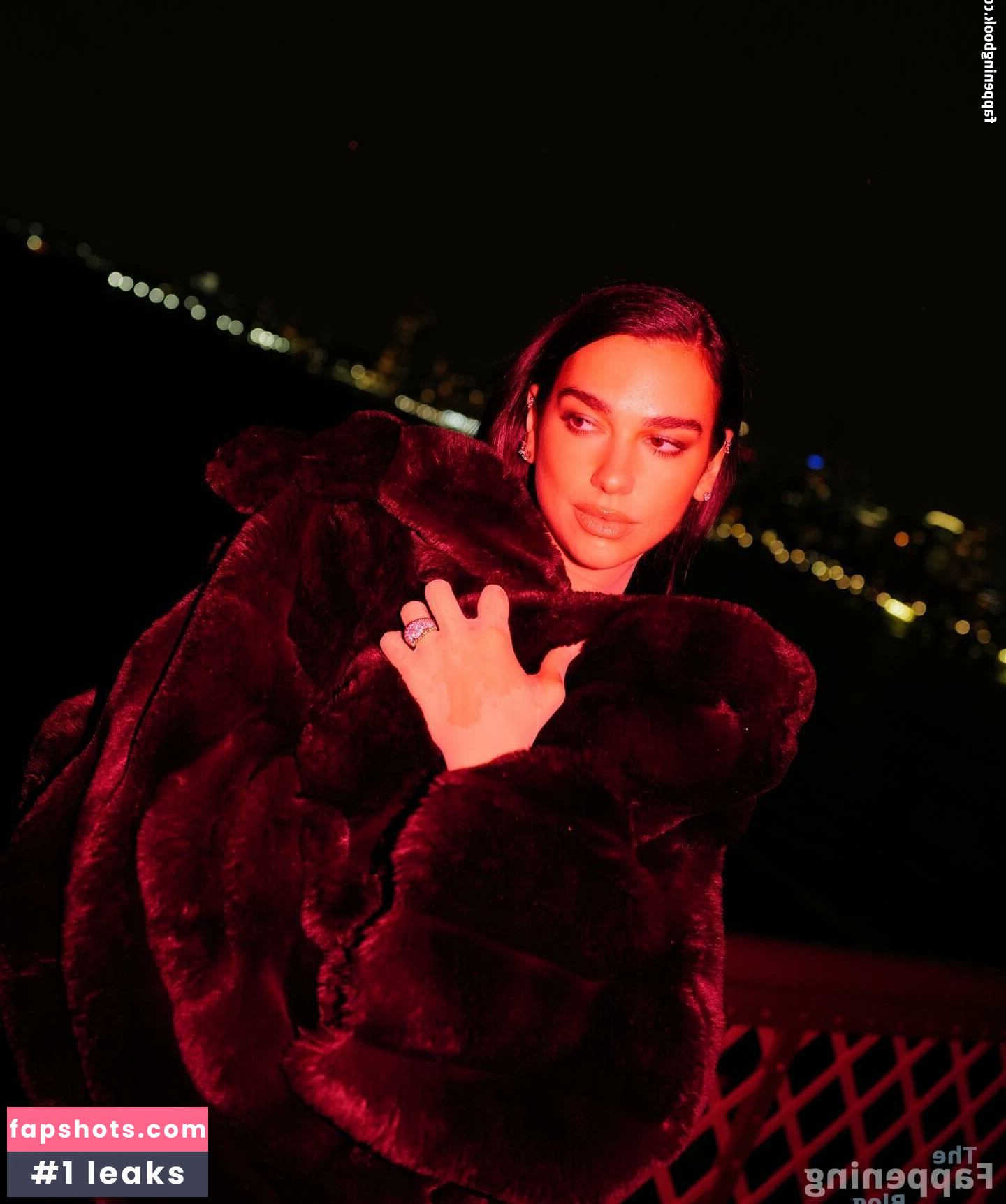 Dua Lipa gallery photo #688