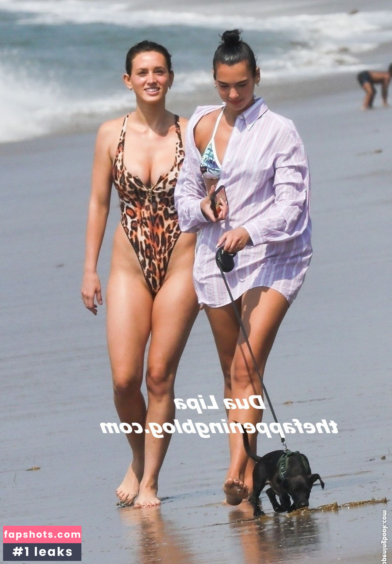 Dua Lipa gallery photo #6872