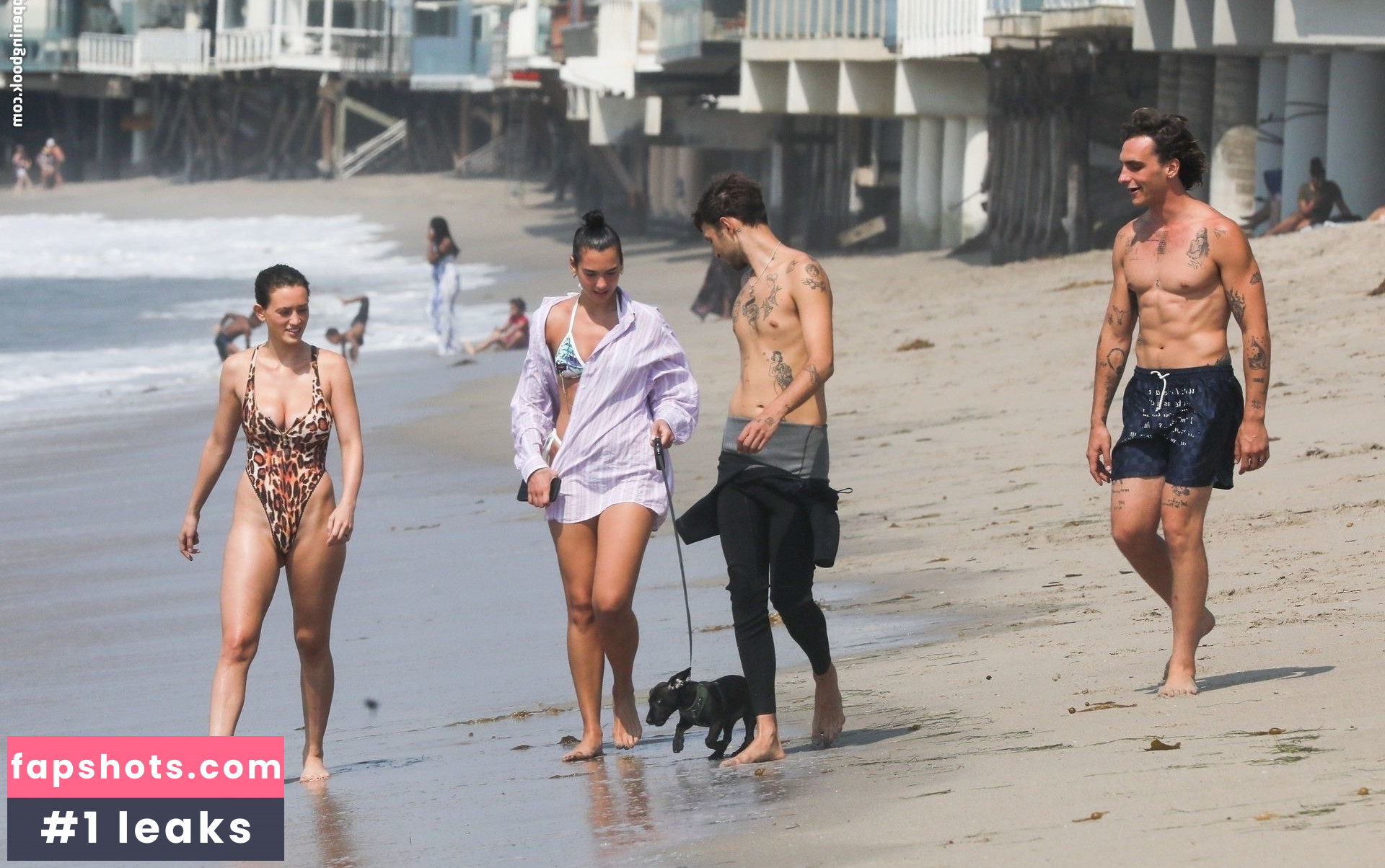 Dua Lipa gallery photo #6879