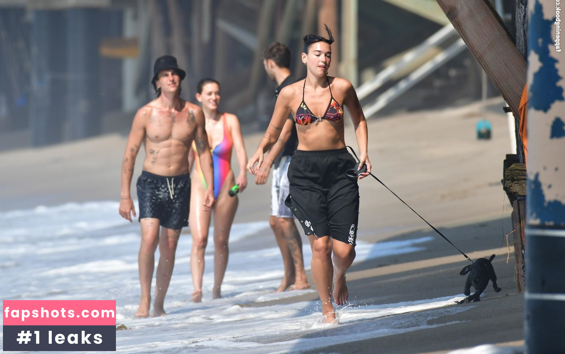 Dua Lipa gallery photo #6920