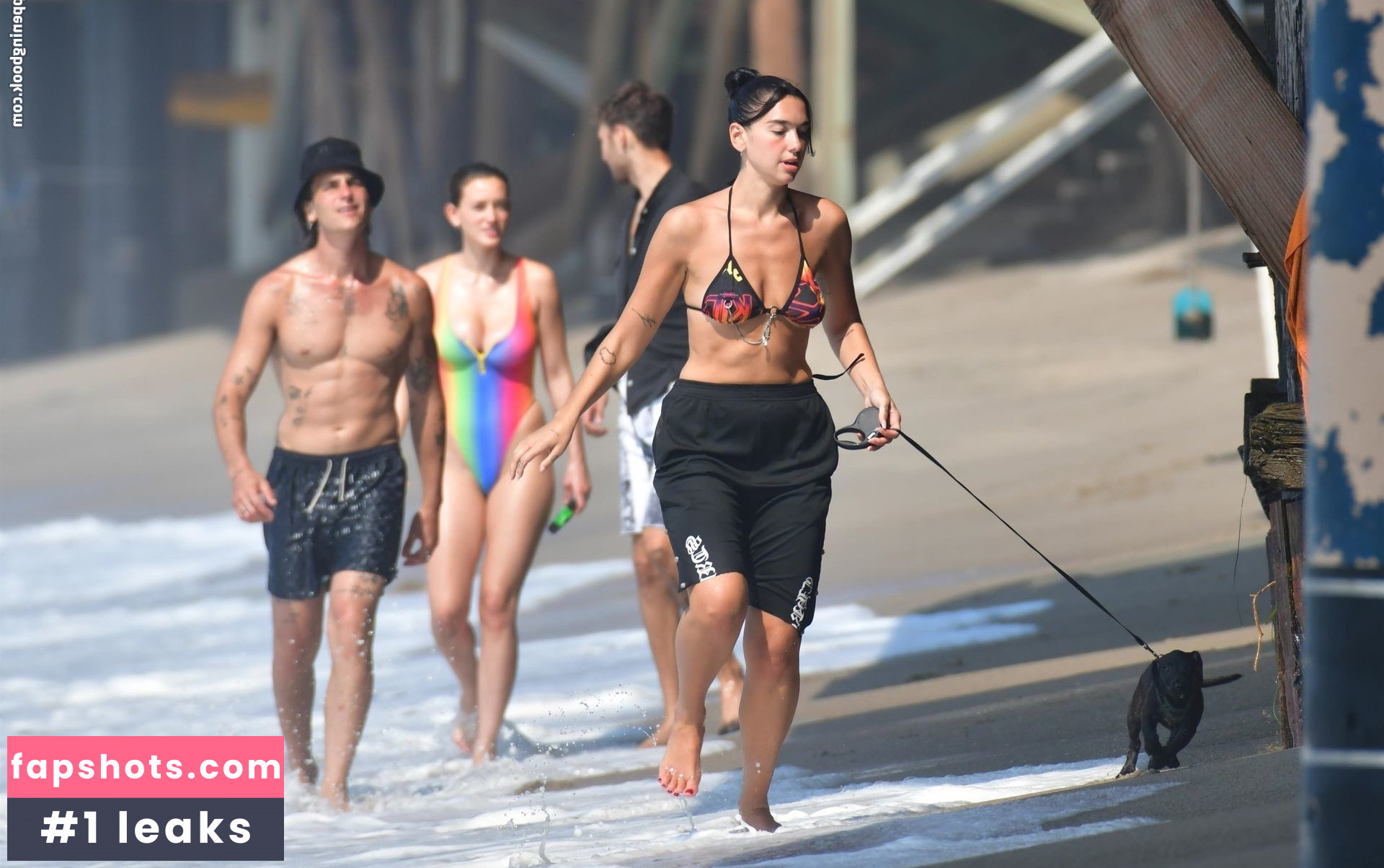 Dua Lipa gallery photo #6921