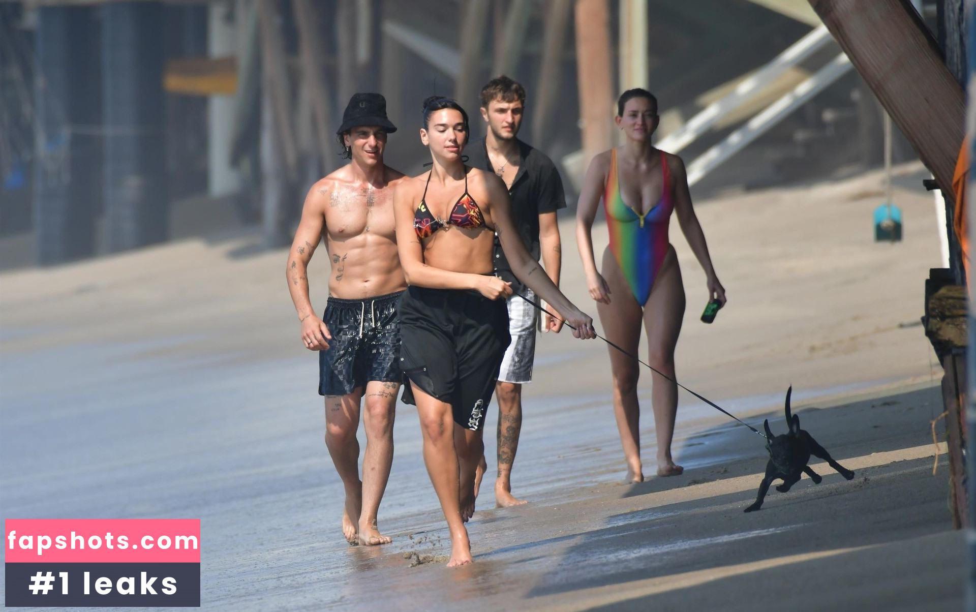 Dua Lipa gallery photo #6926