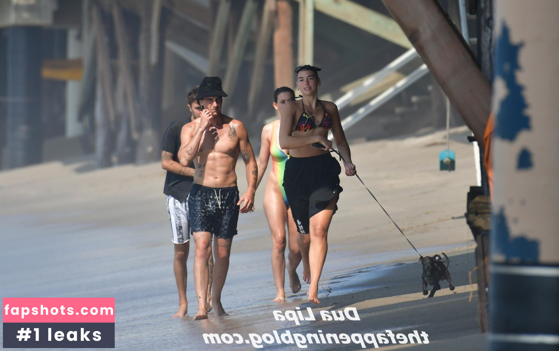 Dua Lipa gallery photo #6930