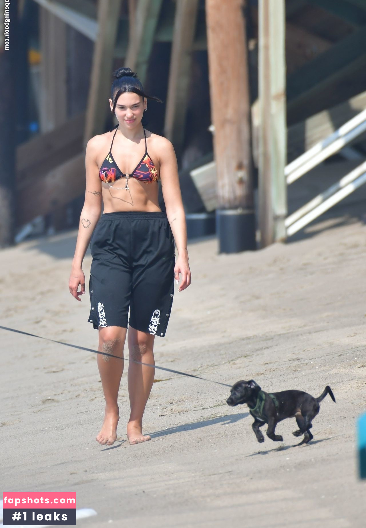 Dua Lipa gallery photo #6935