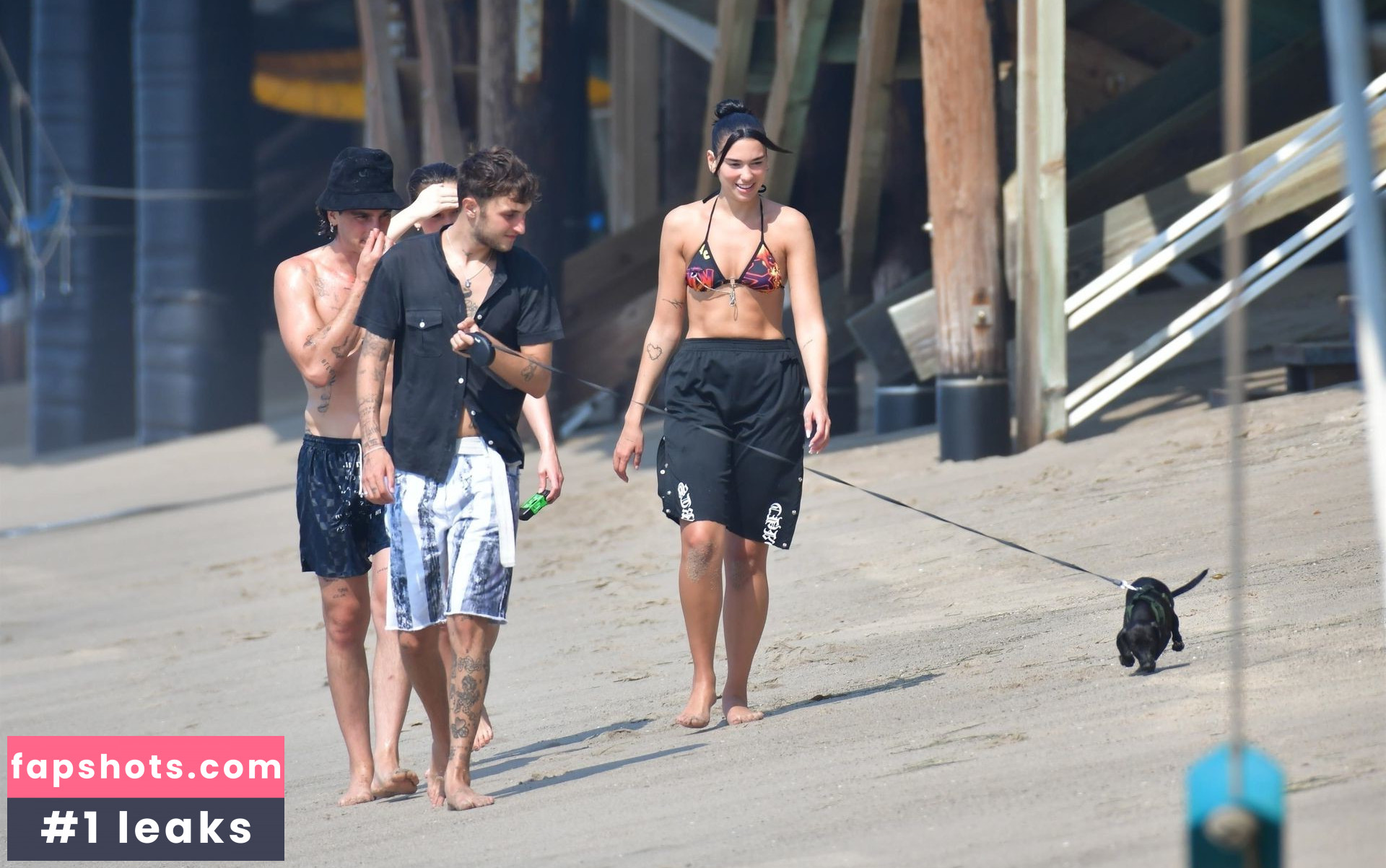 Dua Lipa gallery photo #6939