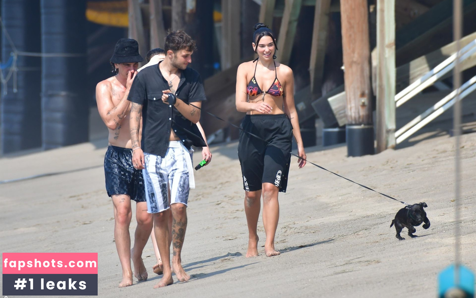 Dua Lipa gallery photo #6940