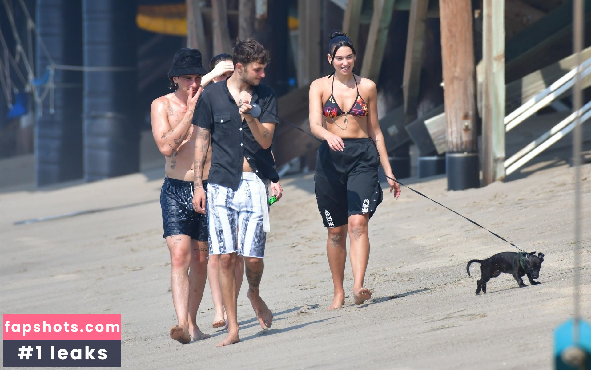 Dua Lipa gallery photo #6941