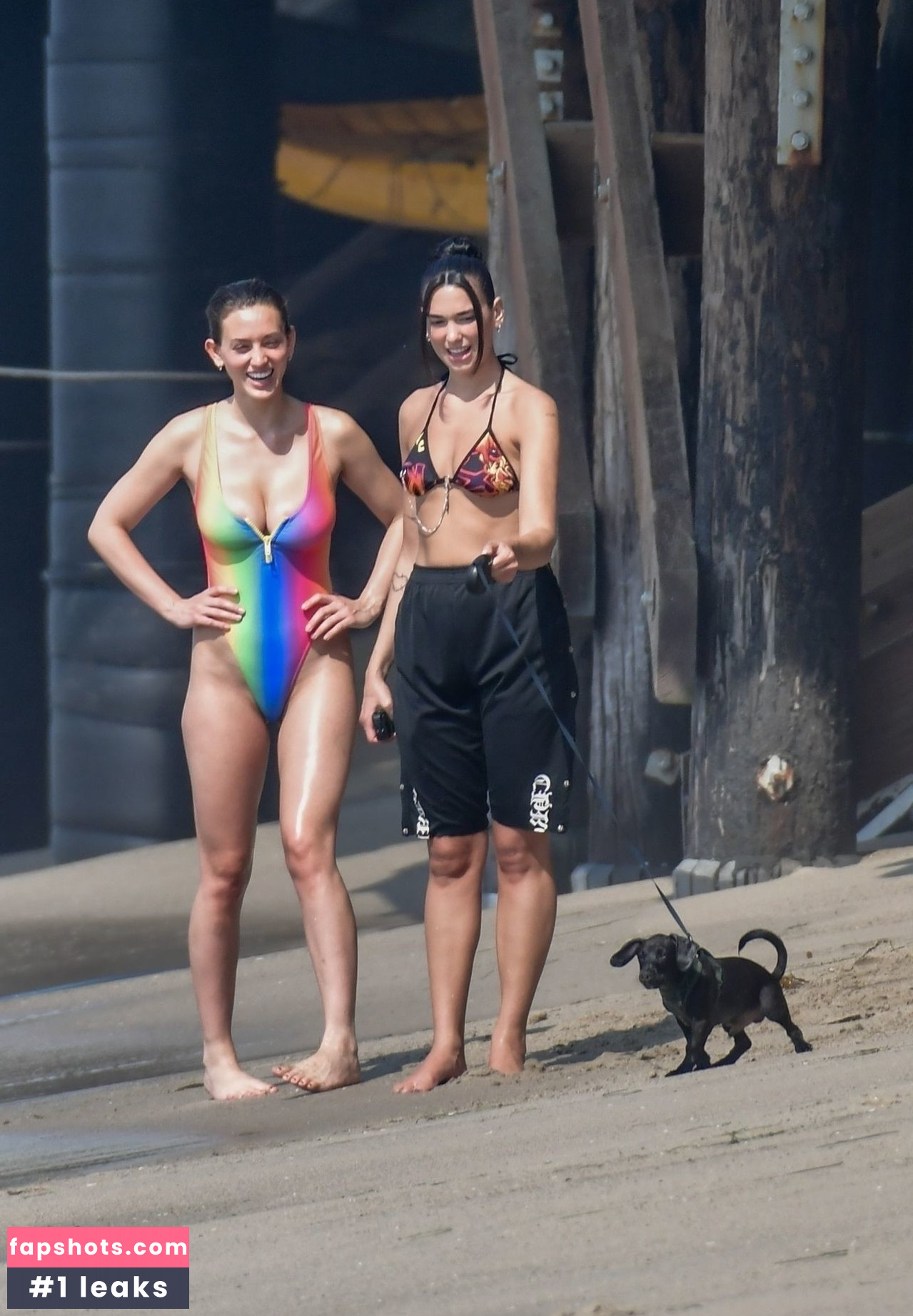 Dua Lipa gallery photo #6947