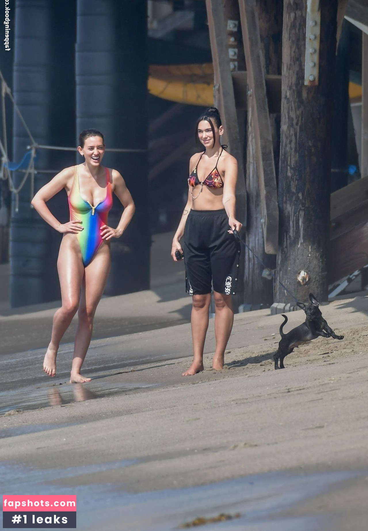 Dua Lipa gallery photo #6949