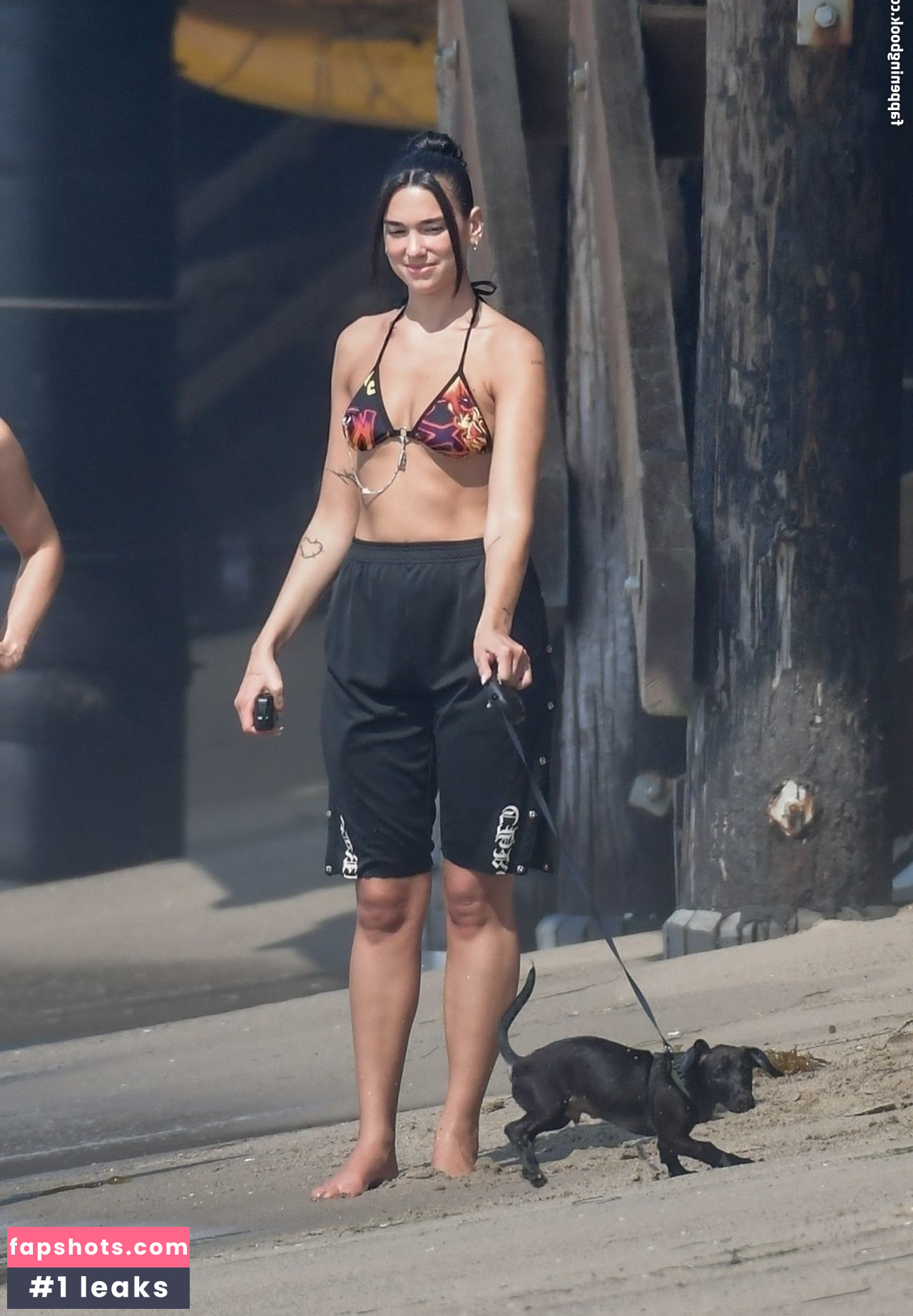 Dua Lipa gallery photo #6951