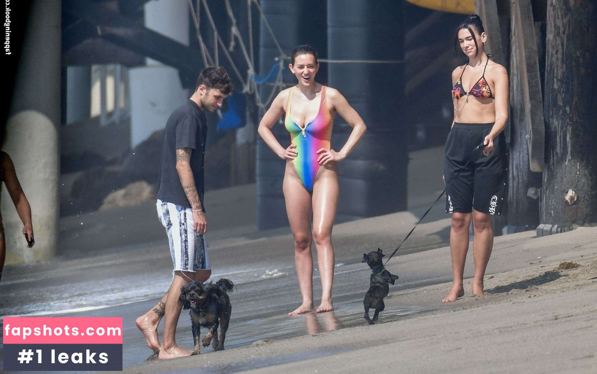 Dua Lipa gallery photo #6952