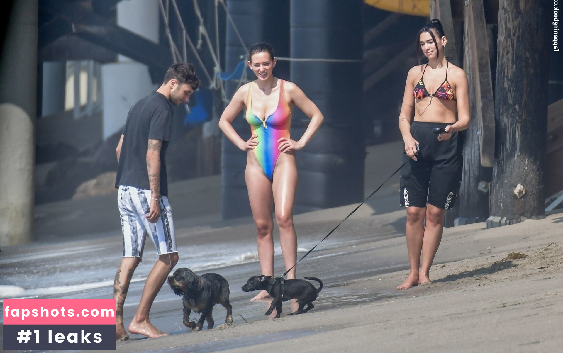 Dua Lipa gallery photo #6953