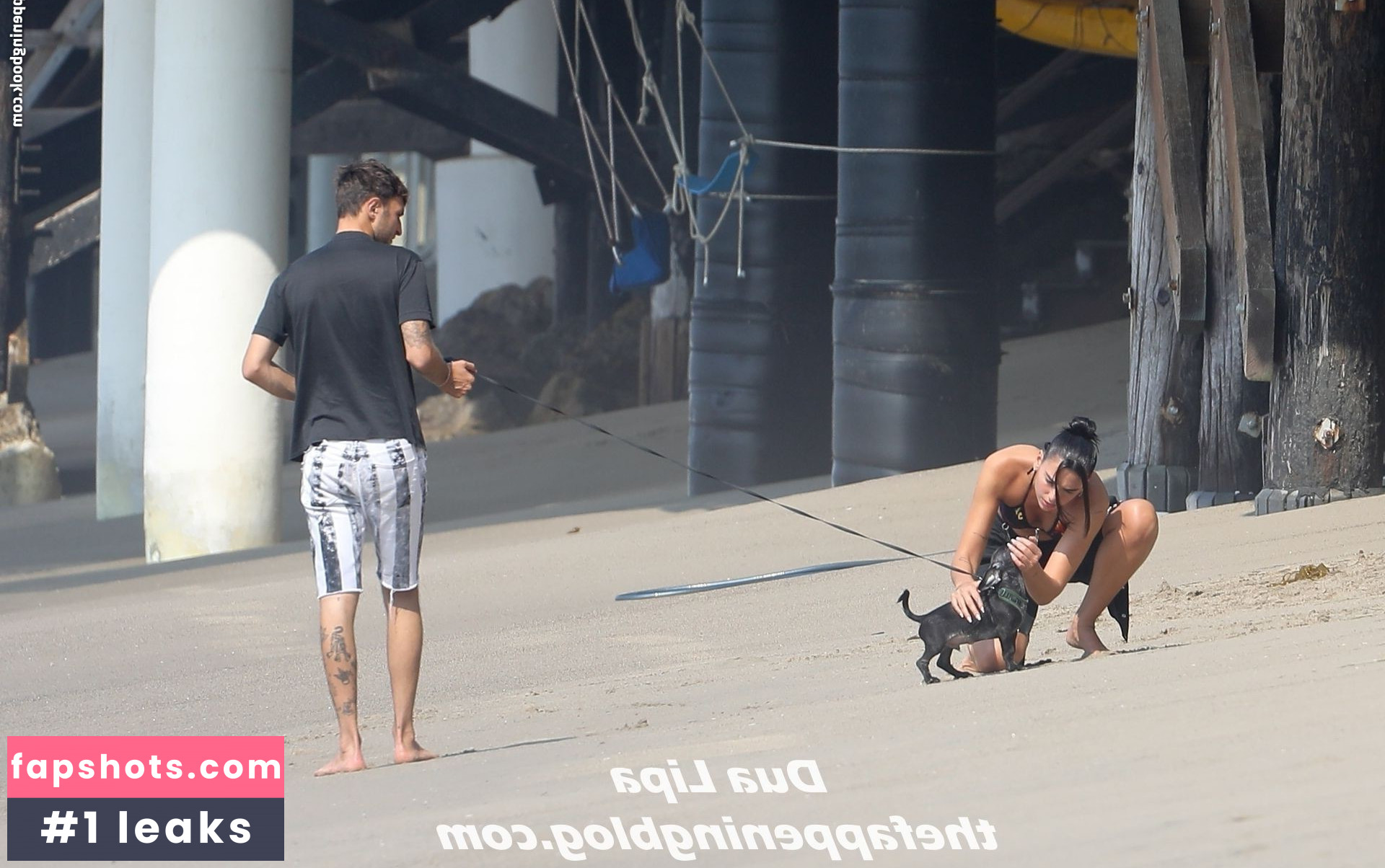 Dua Lipa gallery photo #6979