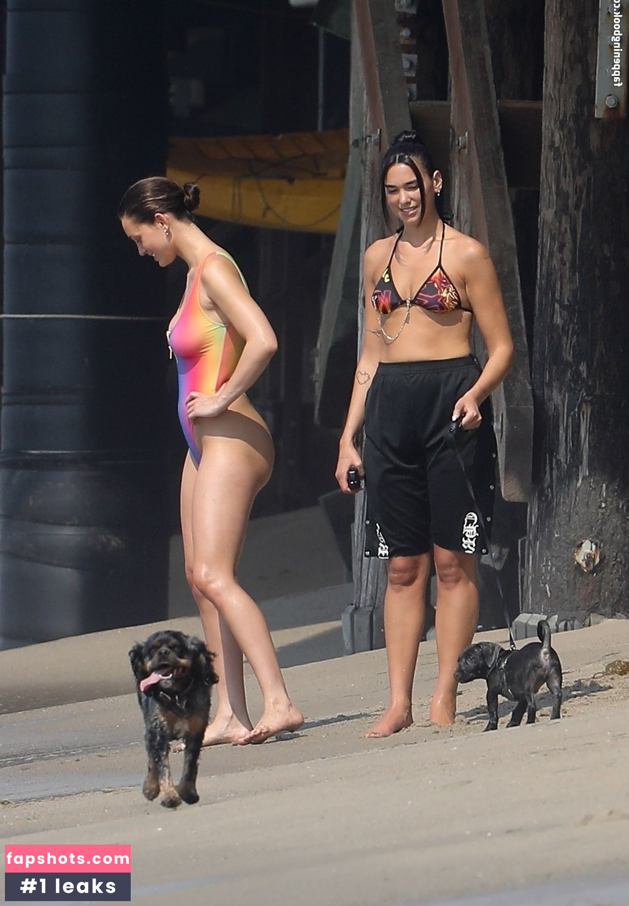 Dua Lipa gallery photo #6984