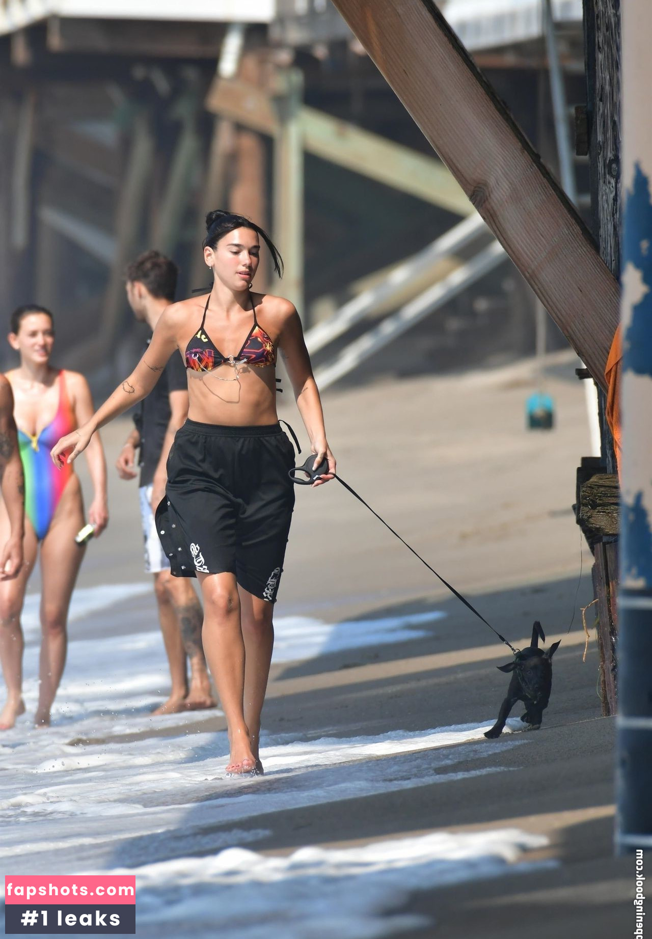 Dua Lipa gallery photo #6985