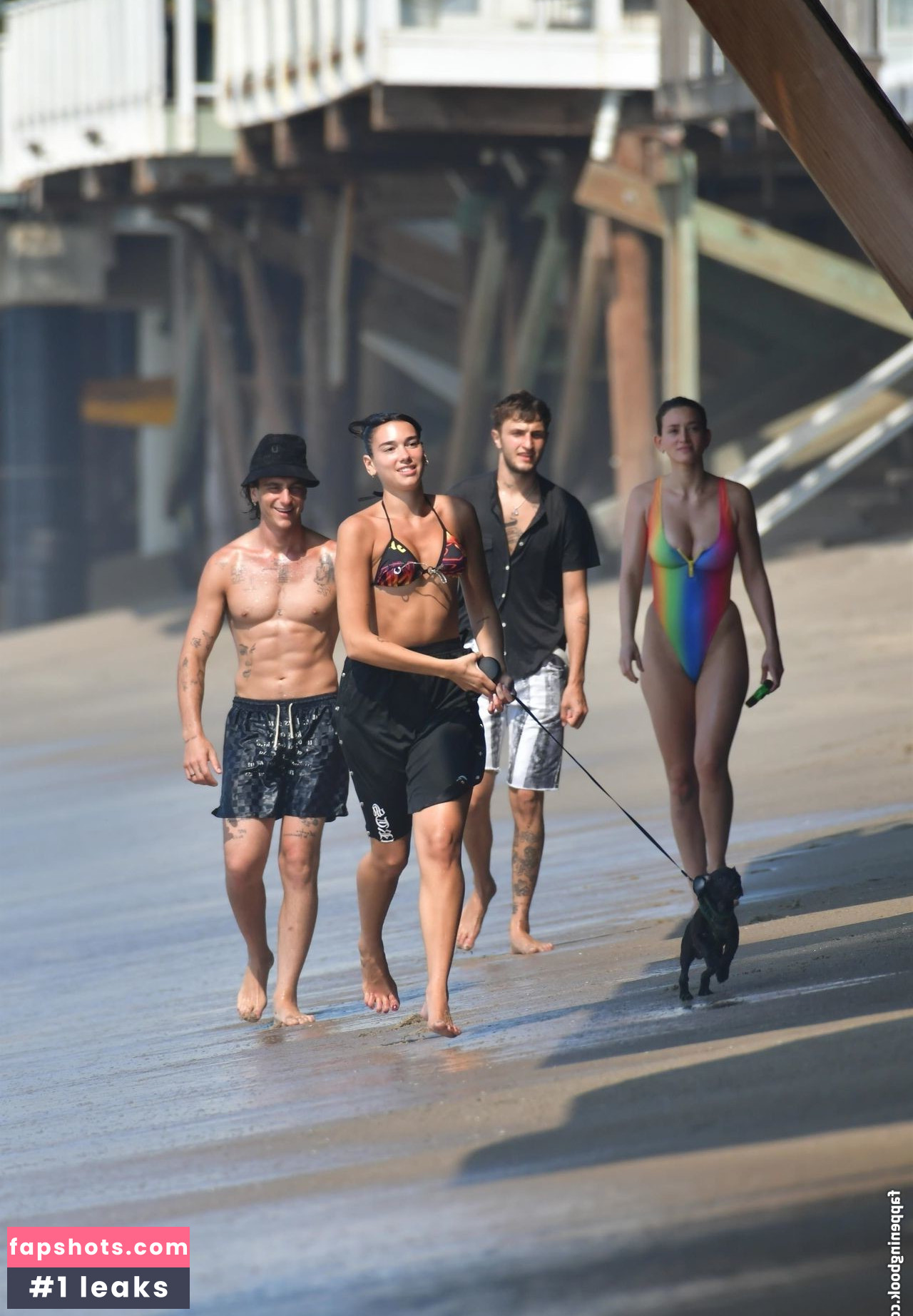 Dua Lipa gallery photo #6987