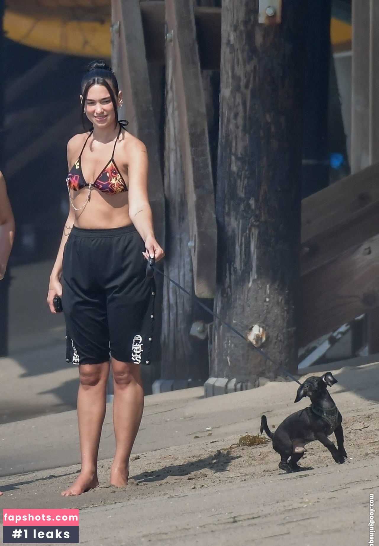 Dua Lipa gallery photo #6996