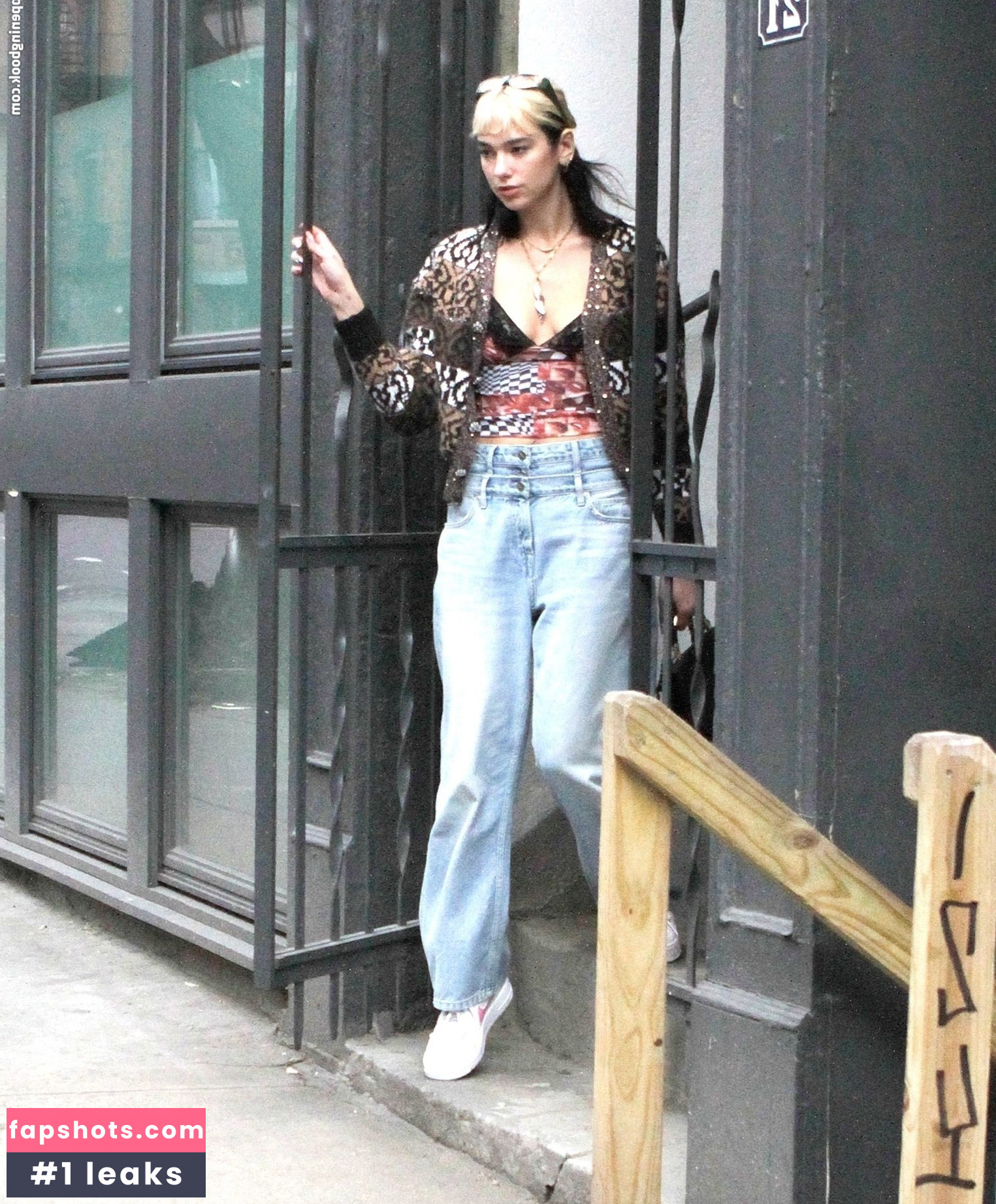 Dua Lipa gallery photo #7242