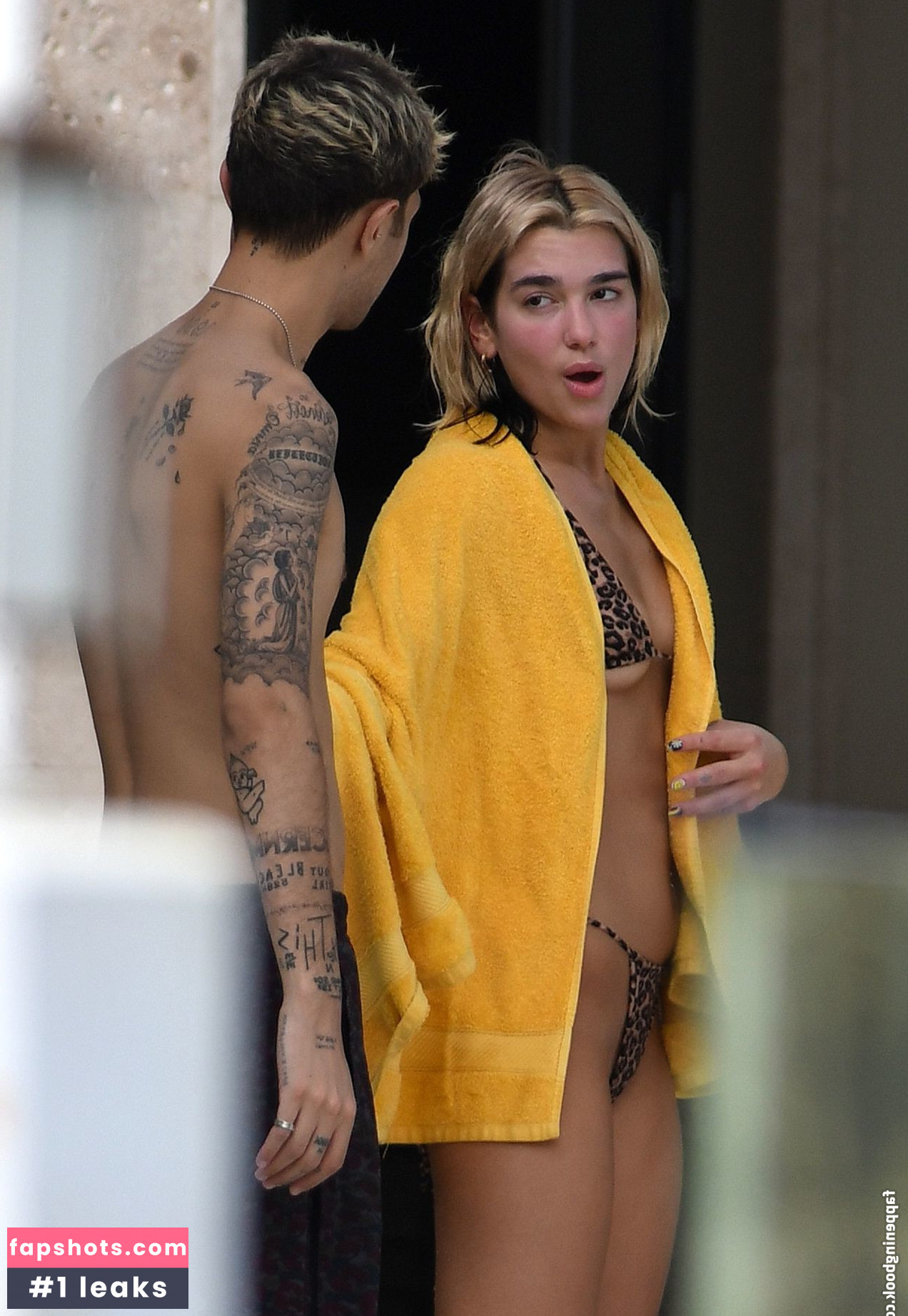 Dua Lipa gallery photo #7787