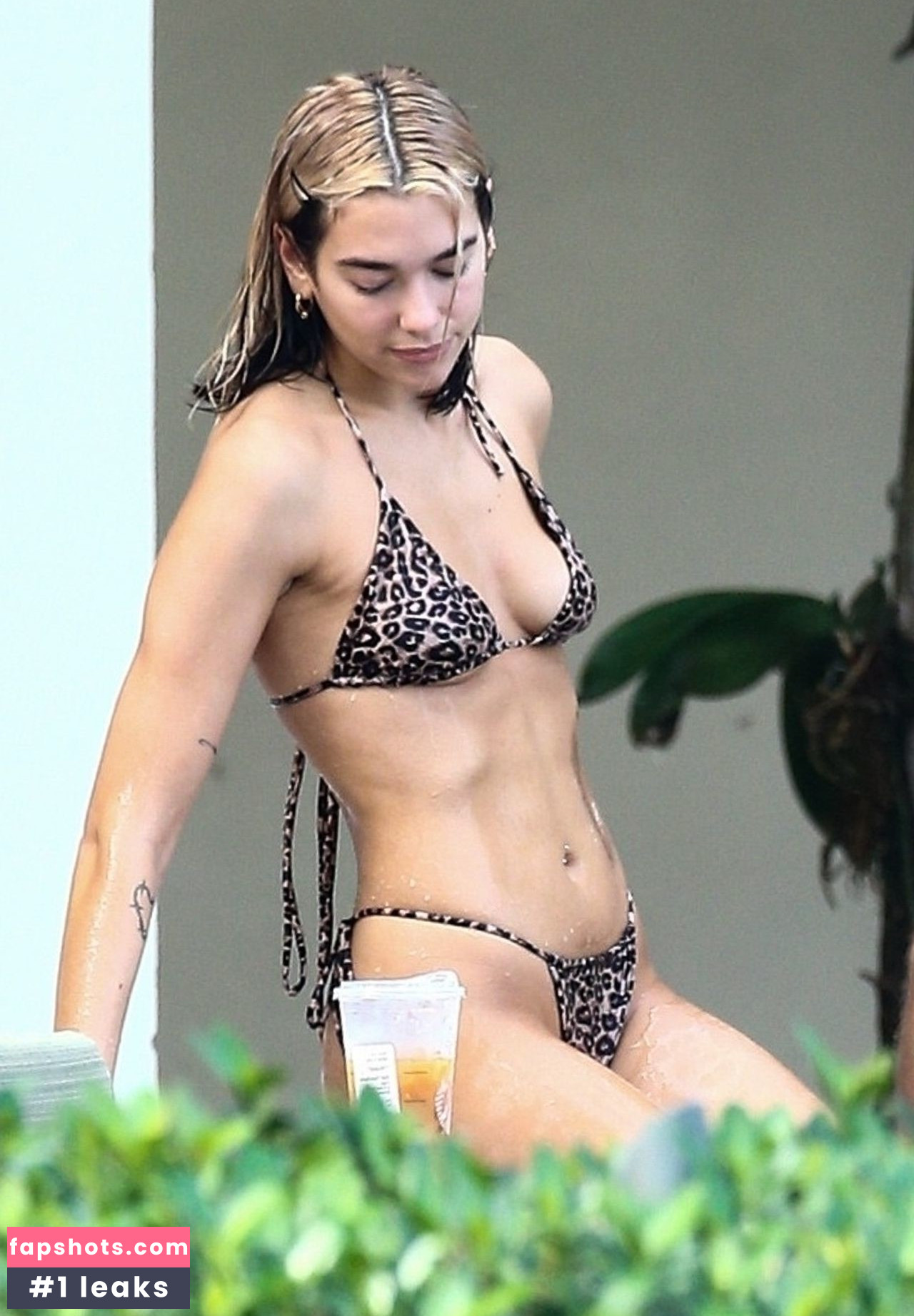Dua Lipa gallery photo #7964