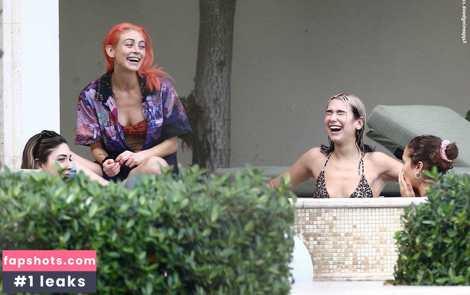 Dua Lipa gallery photo #7983