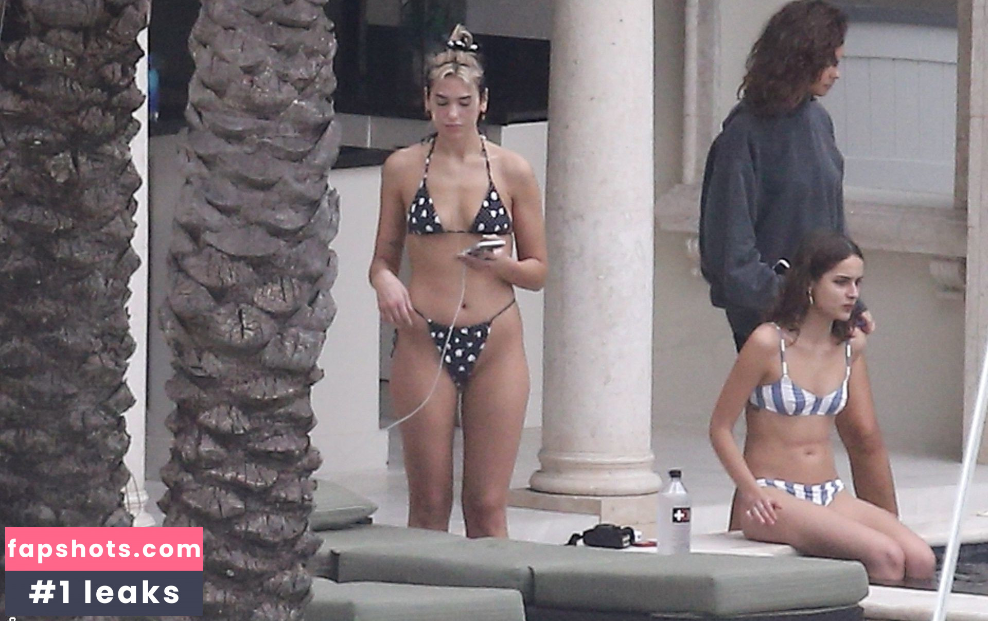 Dua Lipa gallery photo #8111