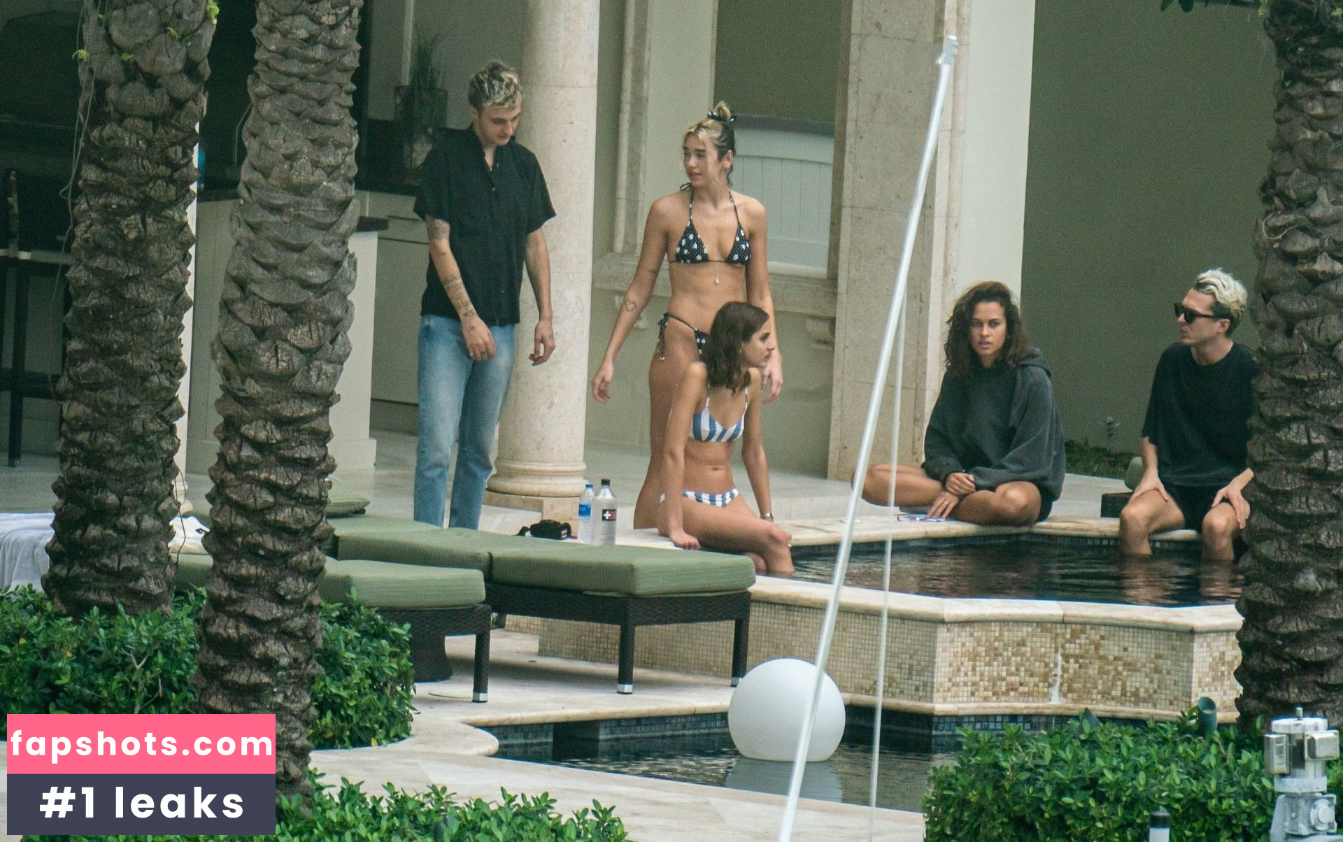 Dua Lipa gallery photo #8126