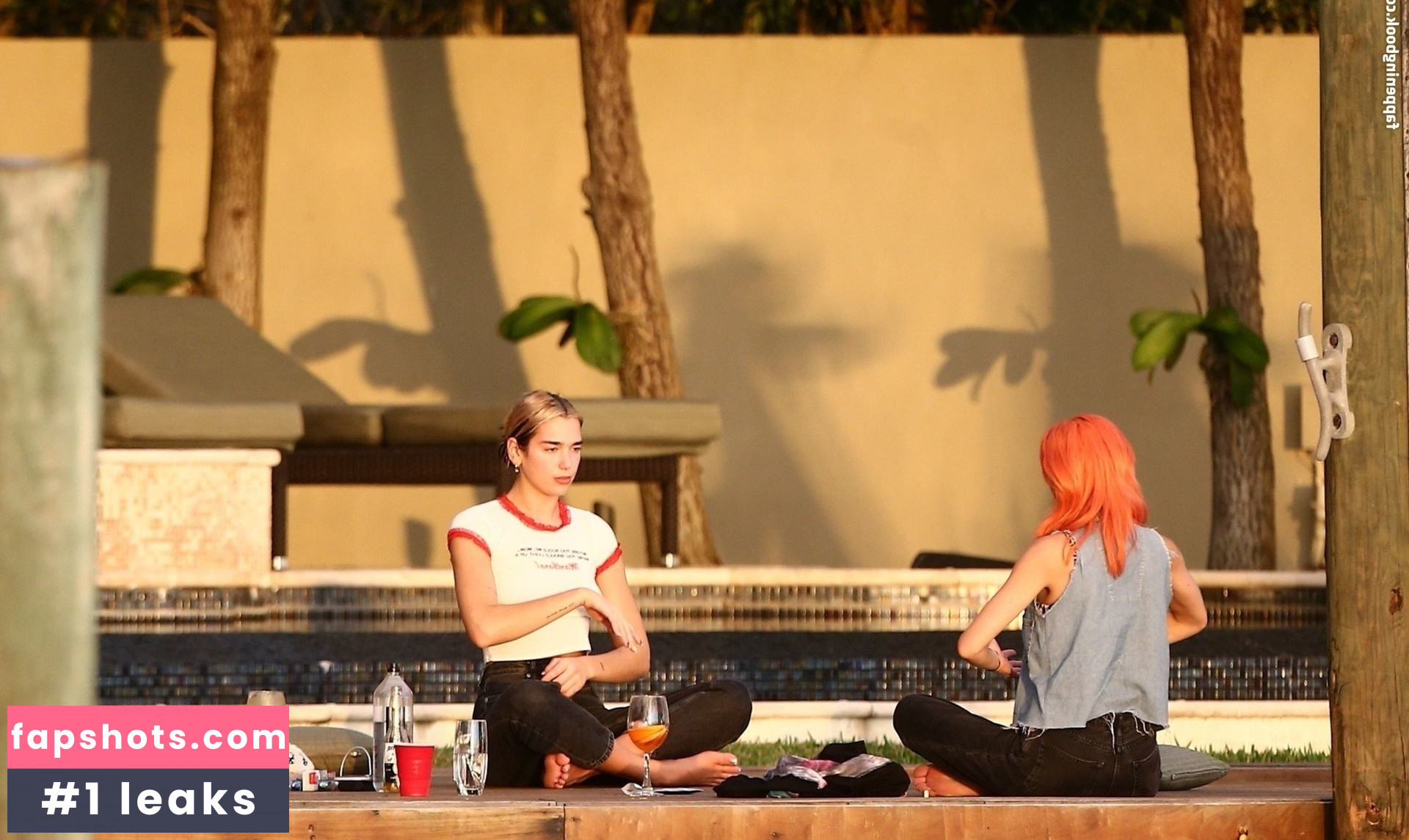 Dua Lipa gallery photo #8254