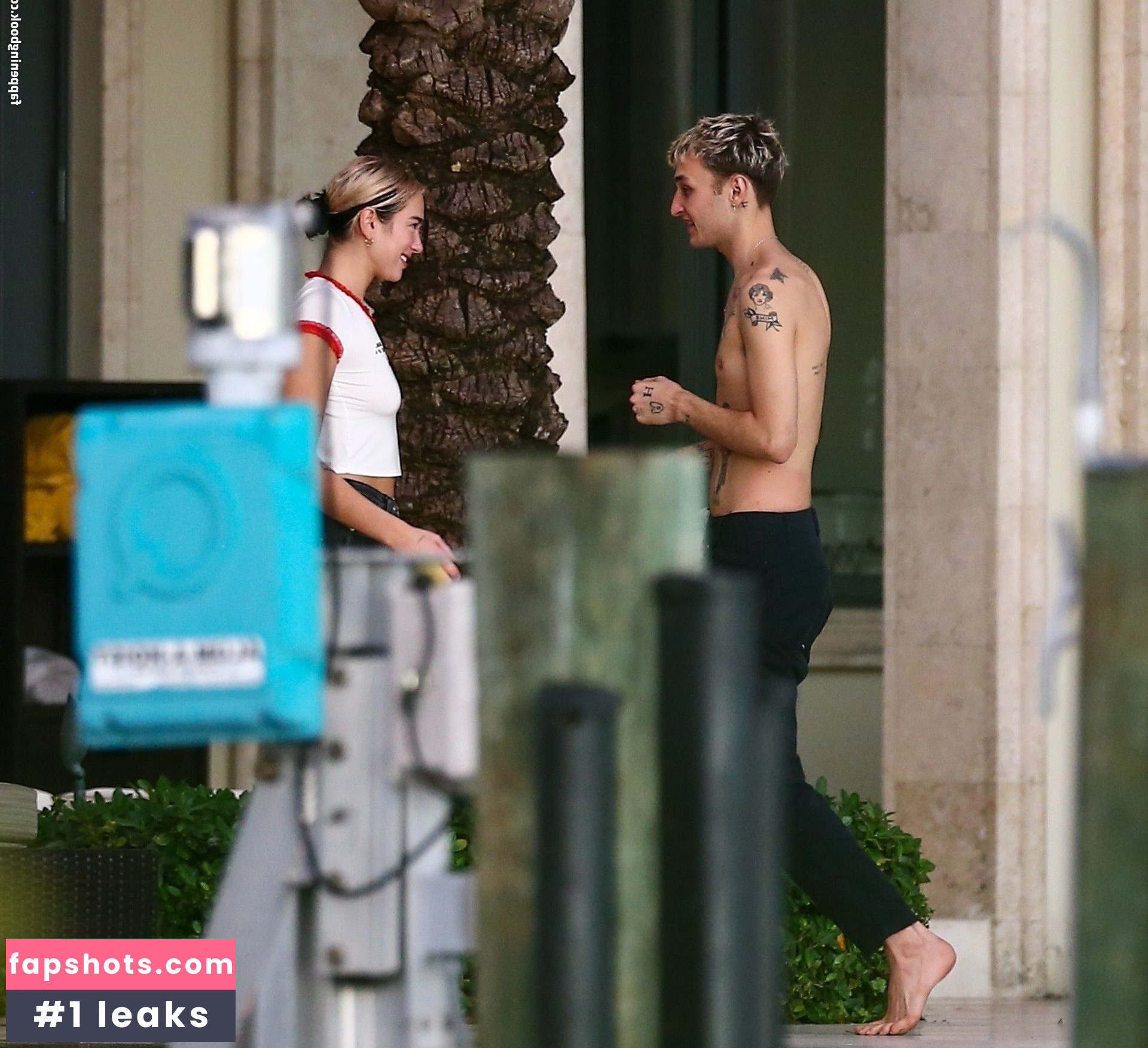 Dua Lipa gallery photo #8255