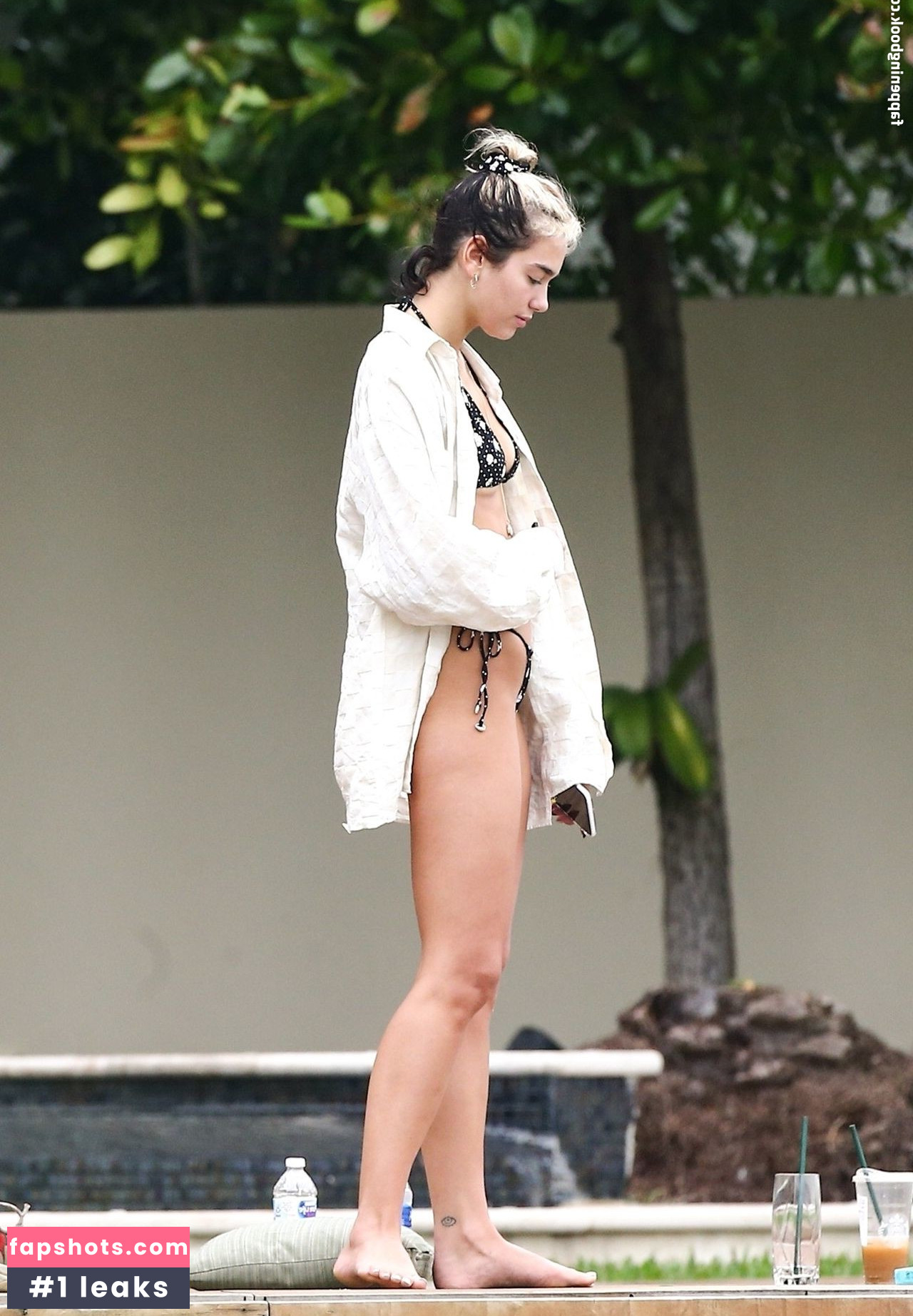 Dua Lipa gallery photo #8294