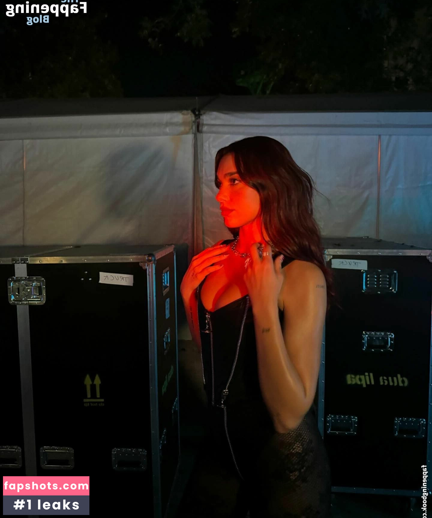 Dua Lipa gallery photo #909