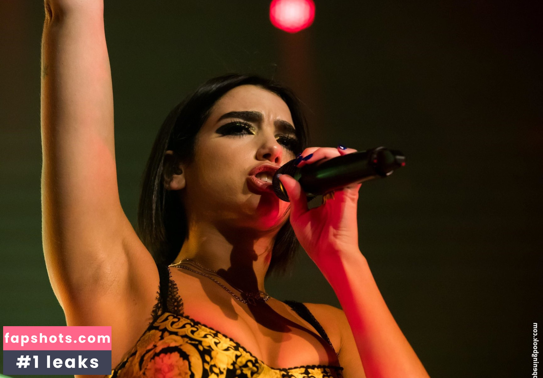 Dua Lipa gallery photo #9245