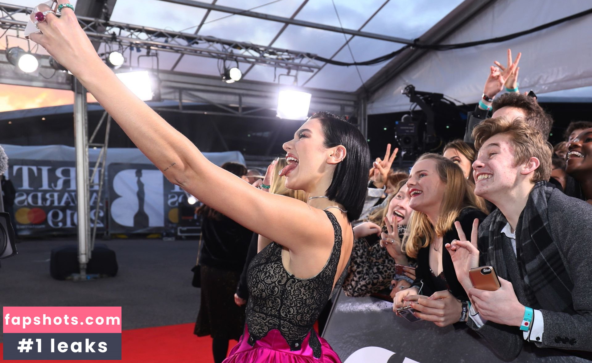 Dua Lipa Nude Leaks OnlyFans Photos #9590 - LeakJerk