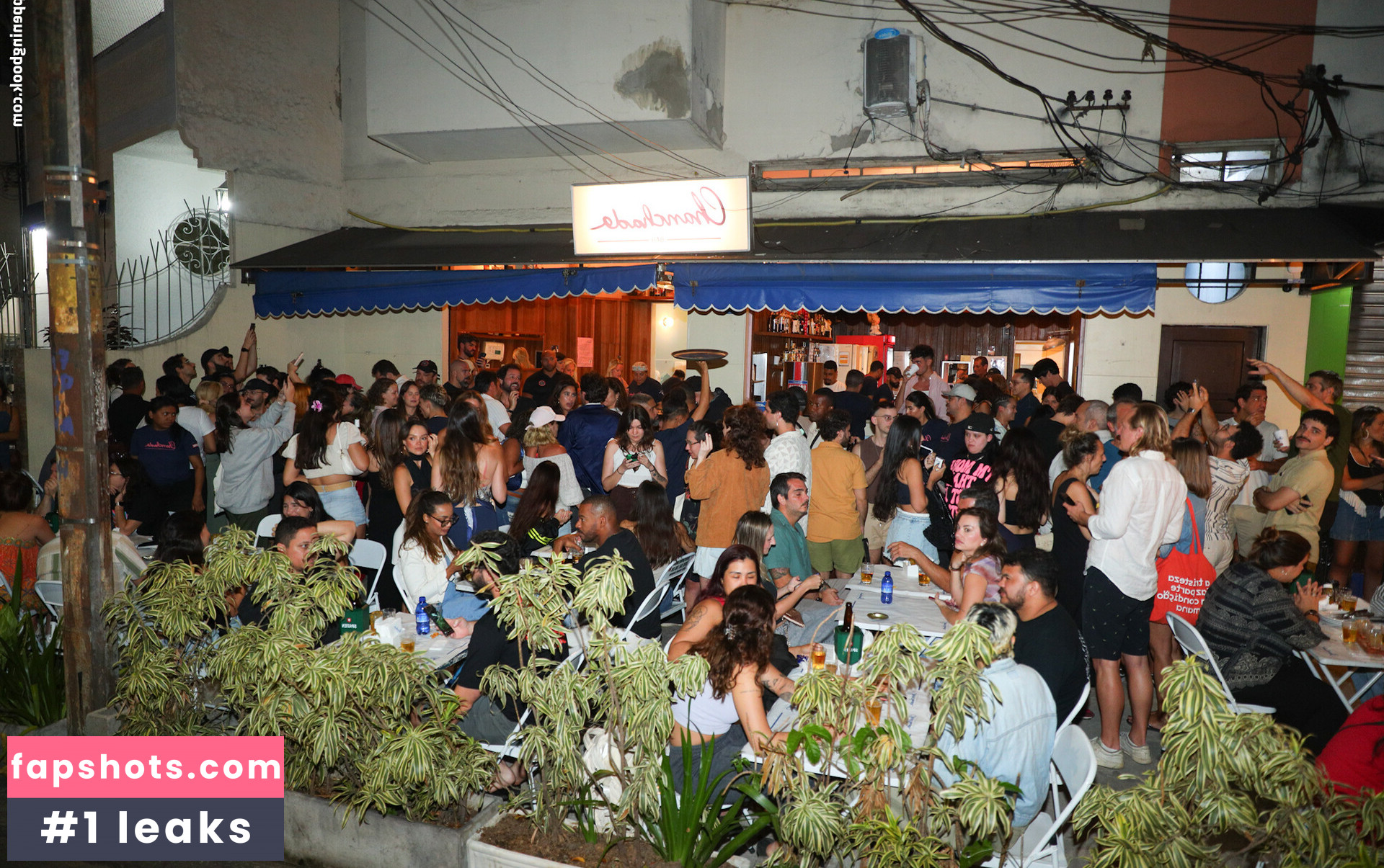 Dua Lipa gallery photo #98